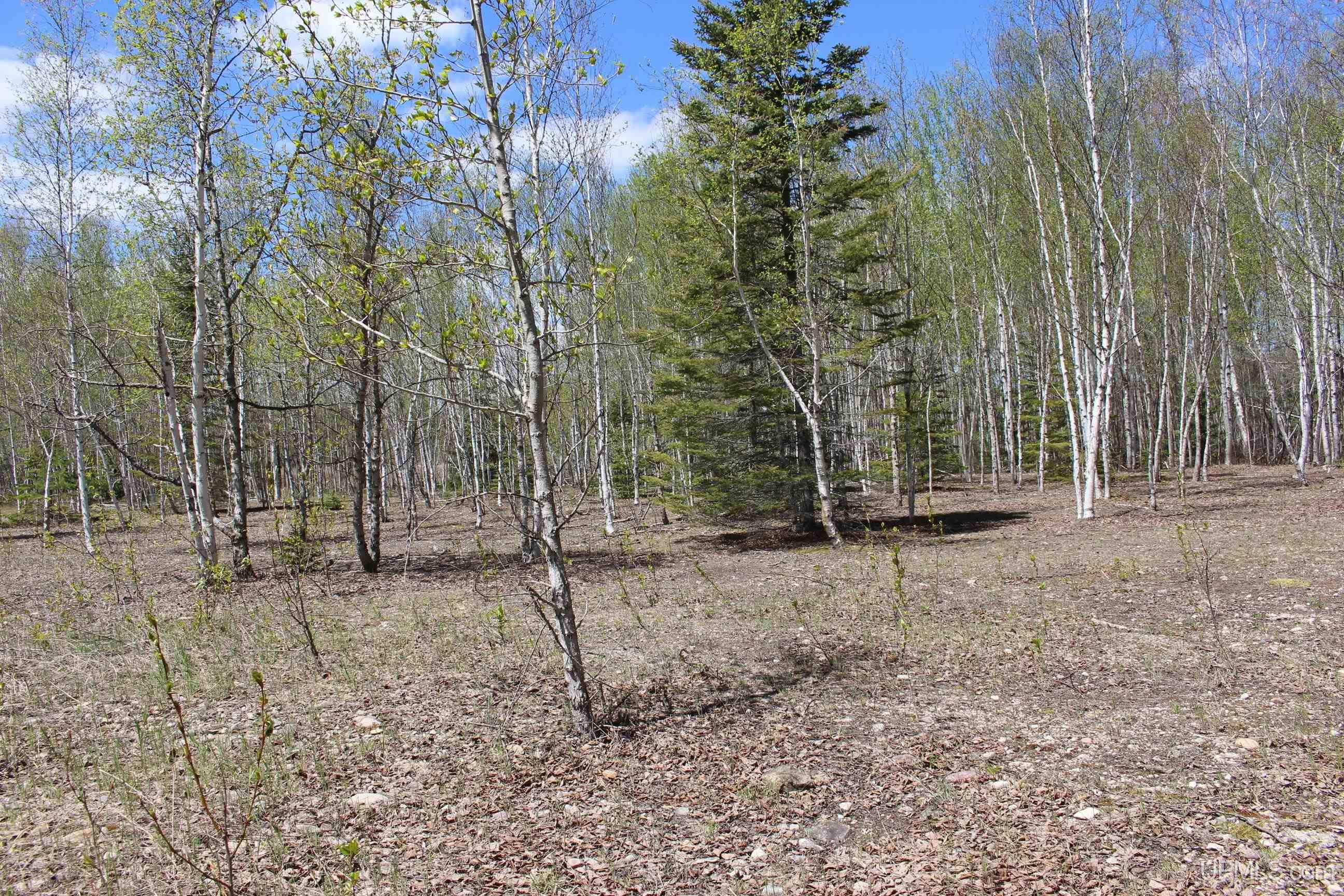 Tbd 23.5 Road Property Photo 50
