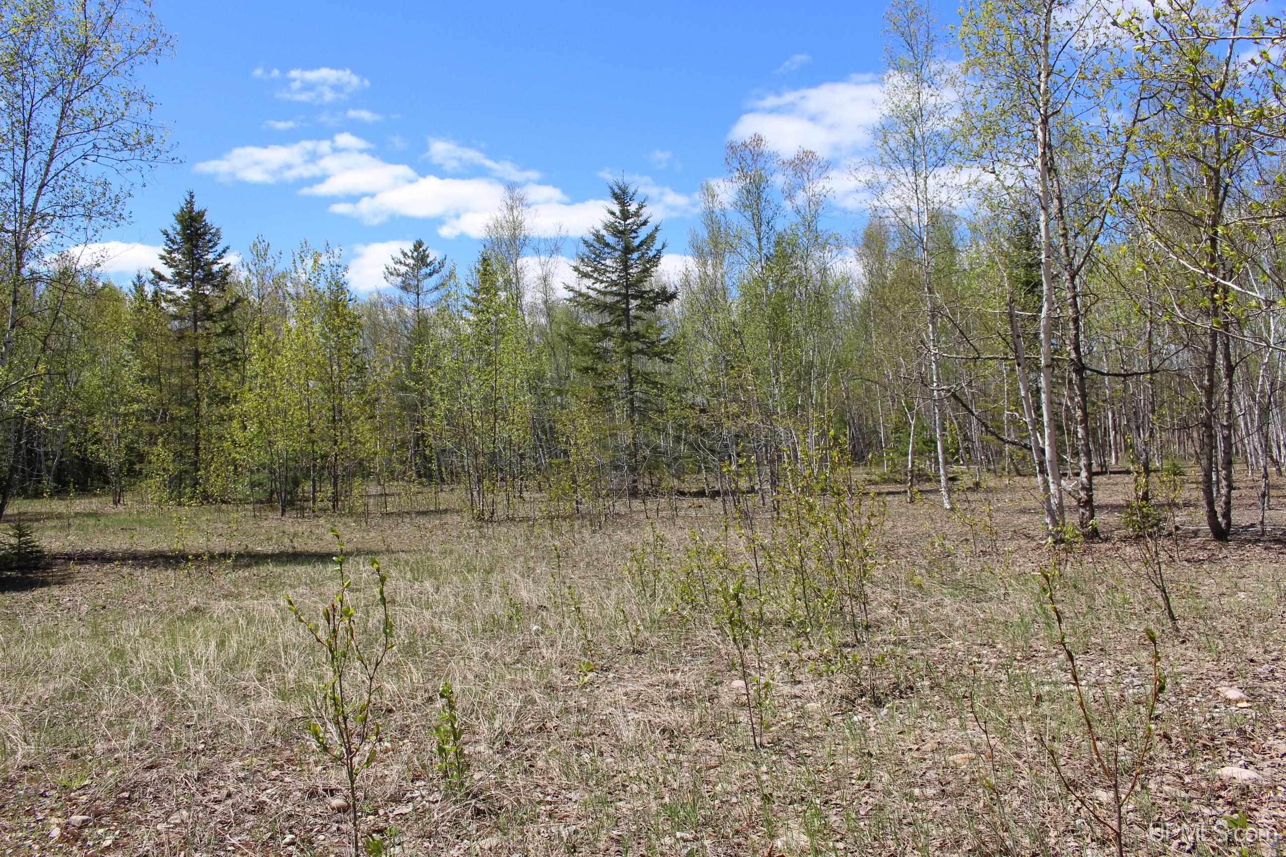 Tbd 23.5 Road Property Photo 51