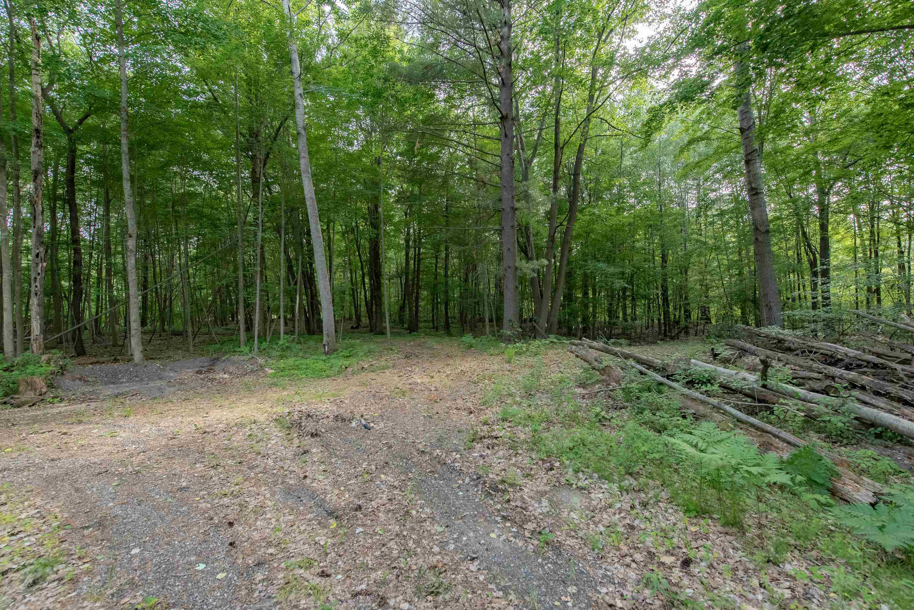1365 E Shaffer Road Property Photo 90