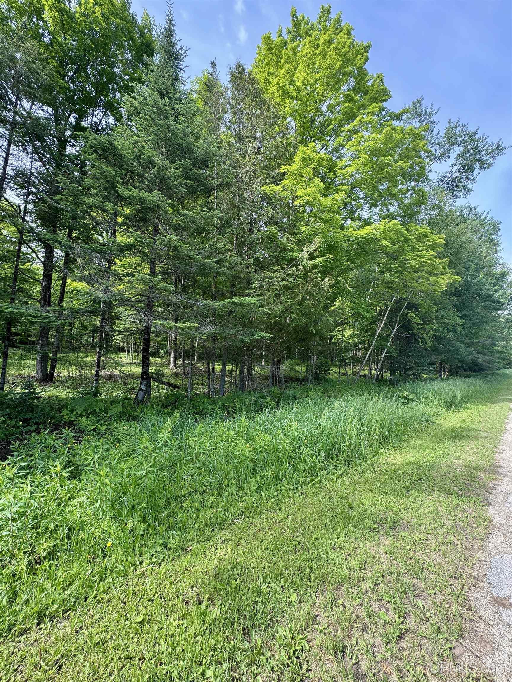 Tbd River J.5 Parcel A Lane Property Photo 9