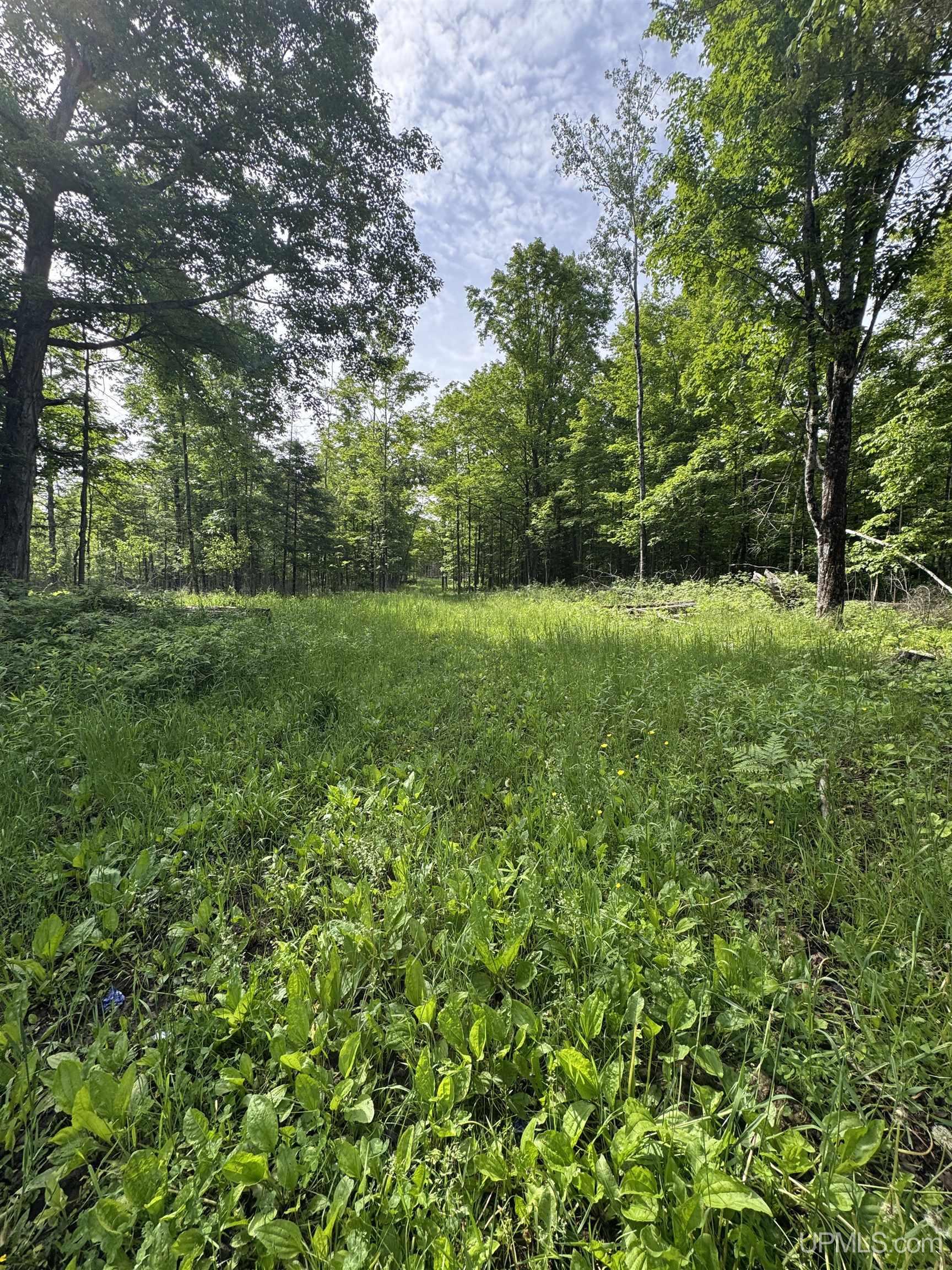 Tbd River J.5 Parcel A Lane Property Photo 16