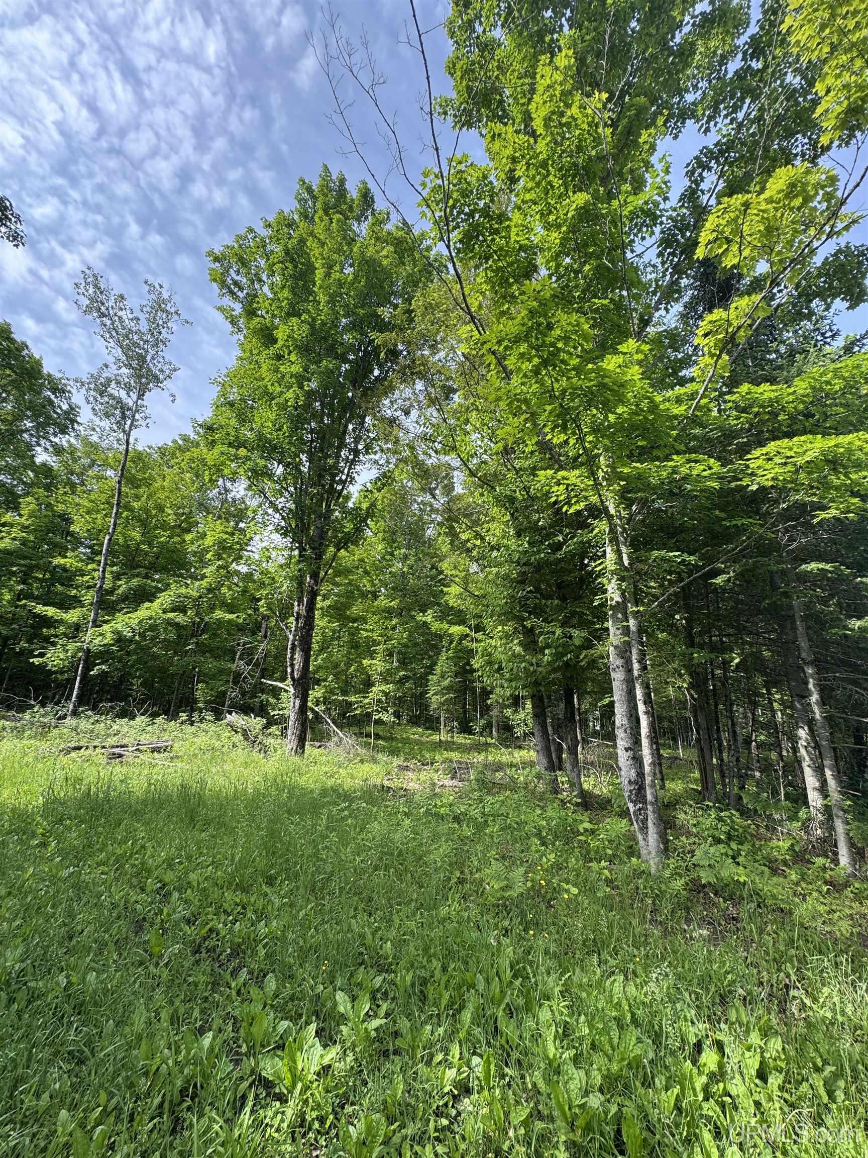 Tbd River J.5 Parcel A Lane Property Photo 17