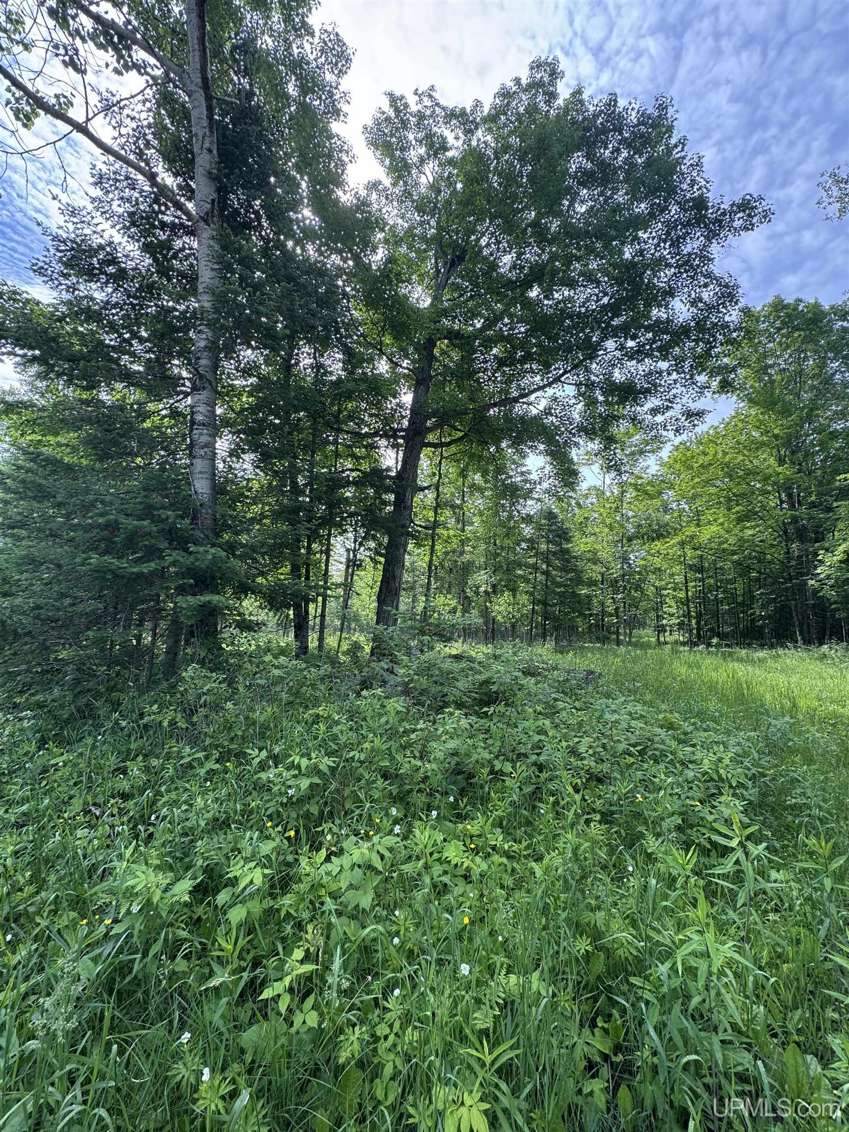 Tbd River J.5 Parcel A Lane Property Photo 18