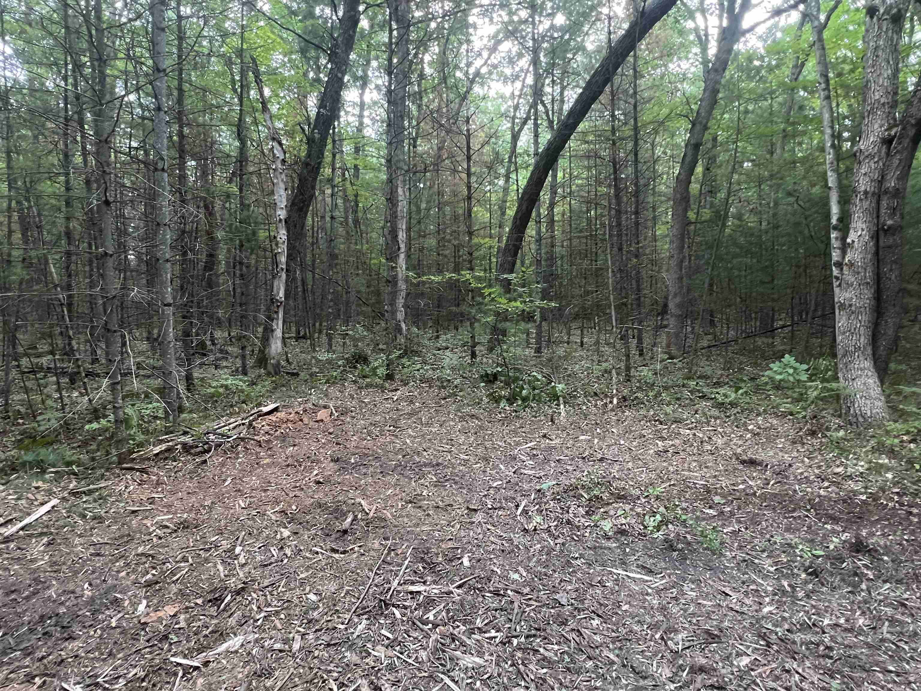 Parcel 2 Simpson Trail Property Photo 5