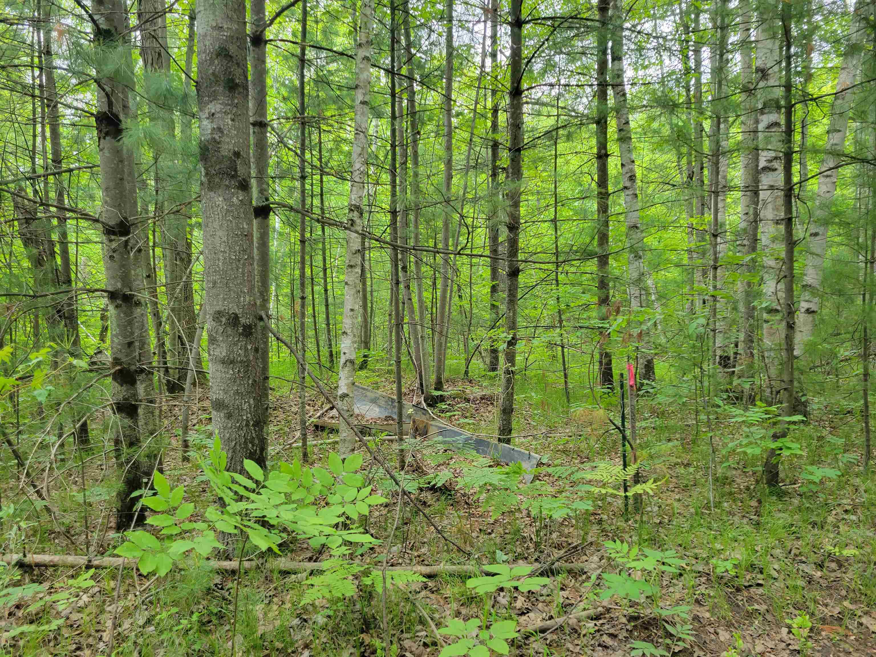 Parcel 2 Simpson Trail Property Photo 6