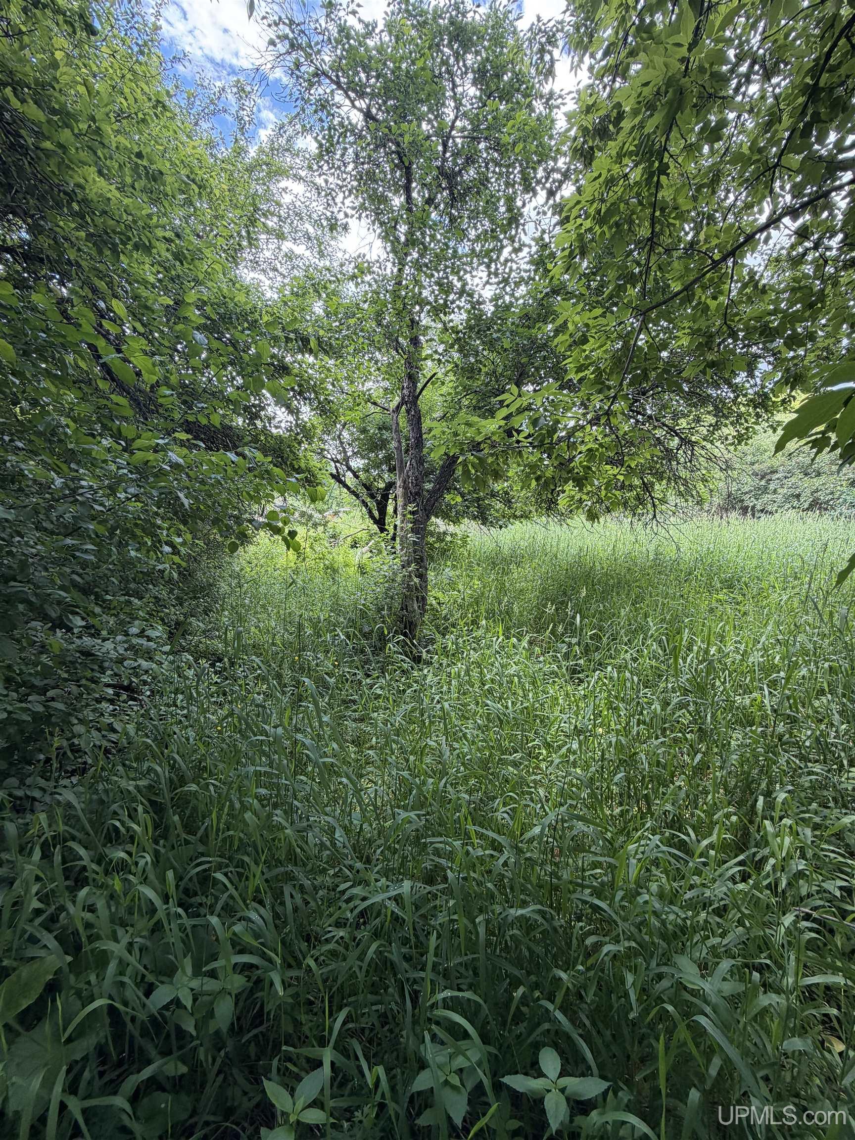 143 Best Road Property Photo 3