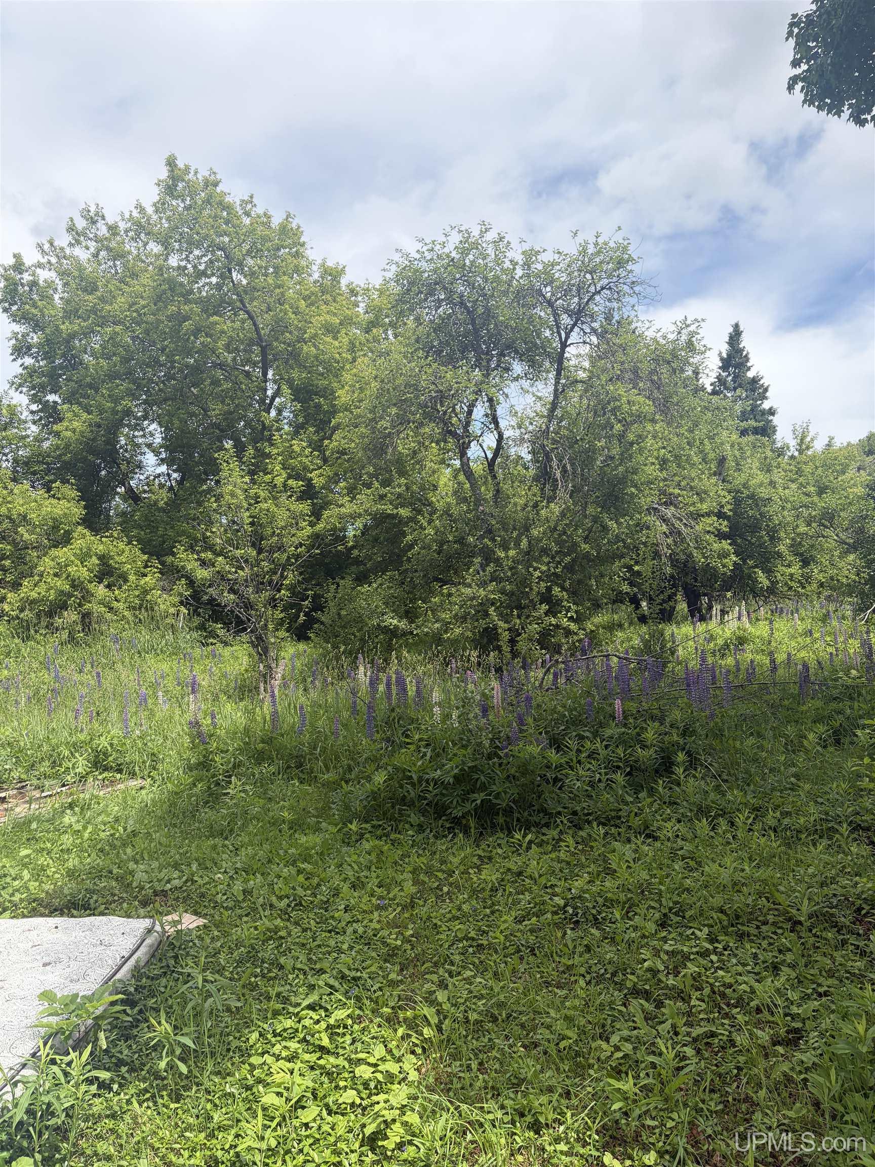 143 Best Road Property Photo 6