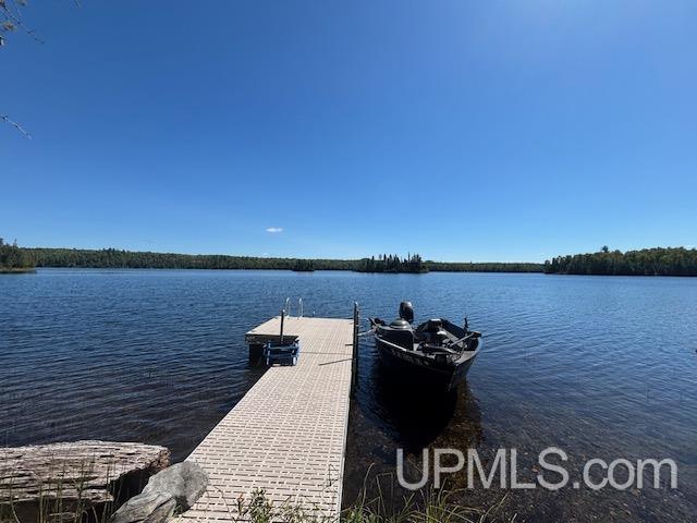26597 N Fence Lake Road Property Photo 13