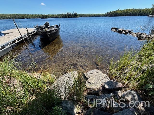 26597 N Fence Lake Road Property Photo 14