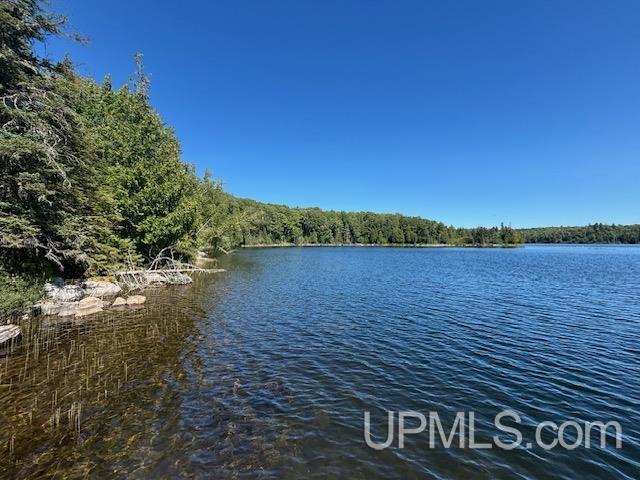 26597 N Fence Lake Road Property Photo 67