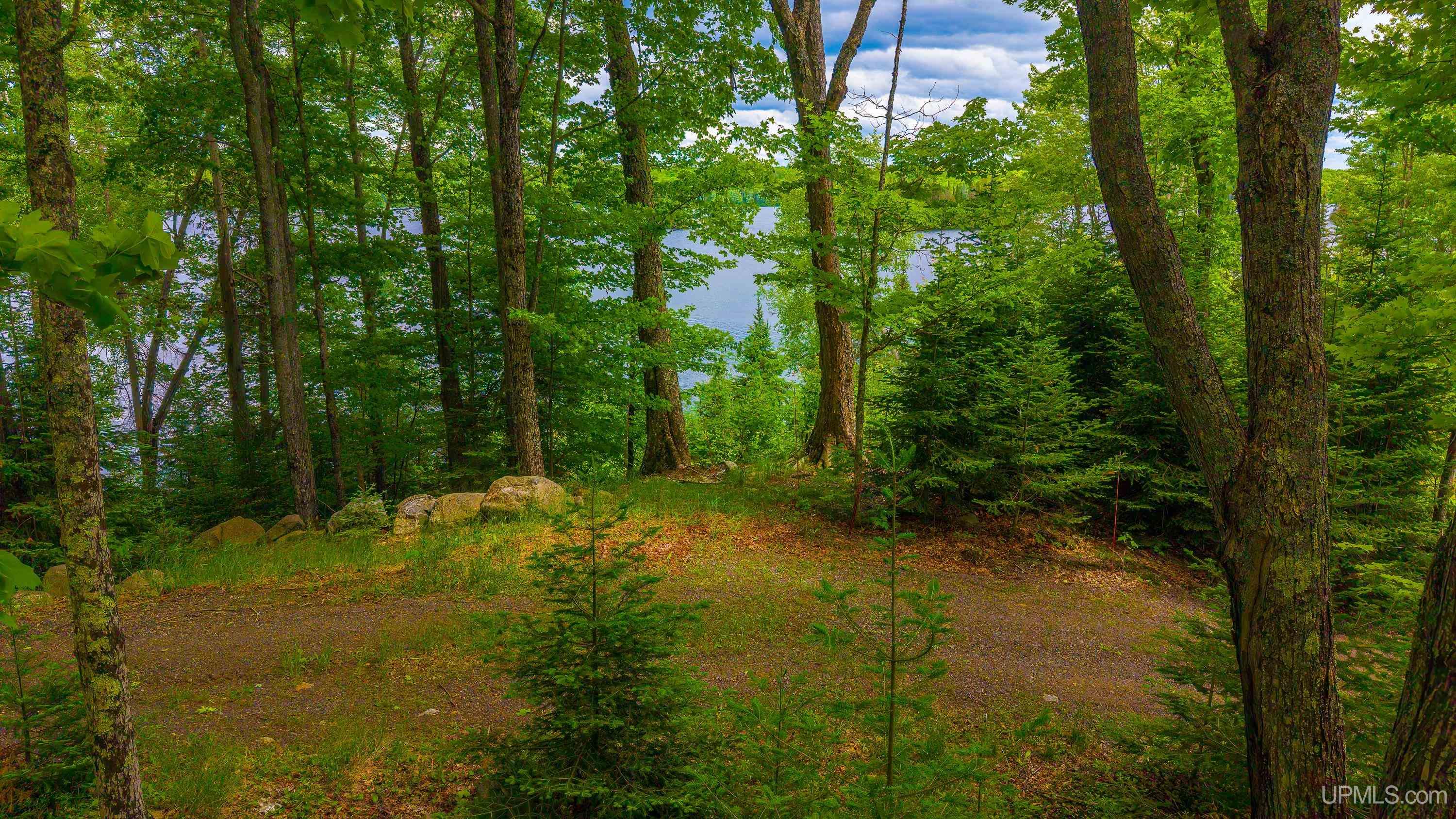 26597 N Fence Lake Road Property Photo 80