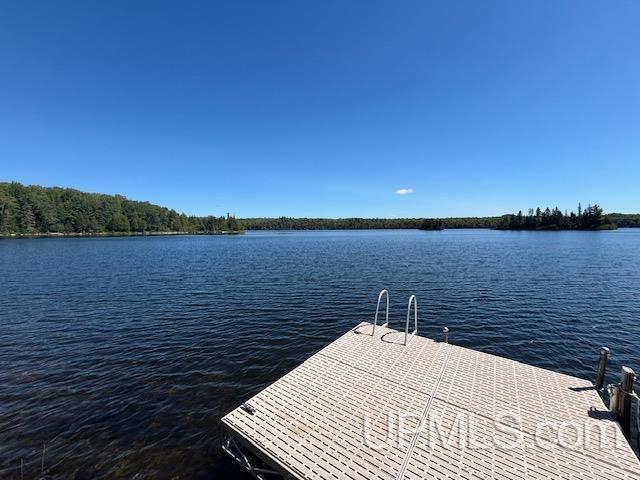 26597 N Fence Lake Road Property Photo 89