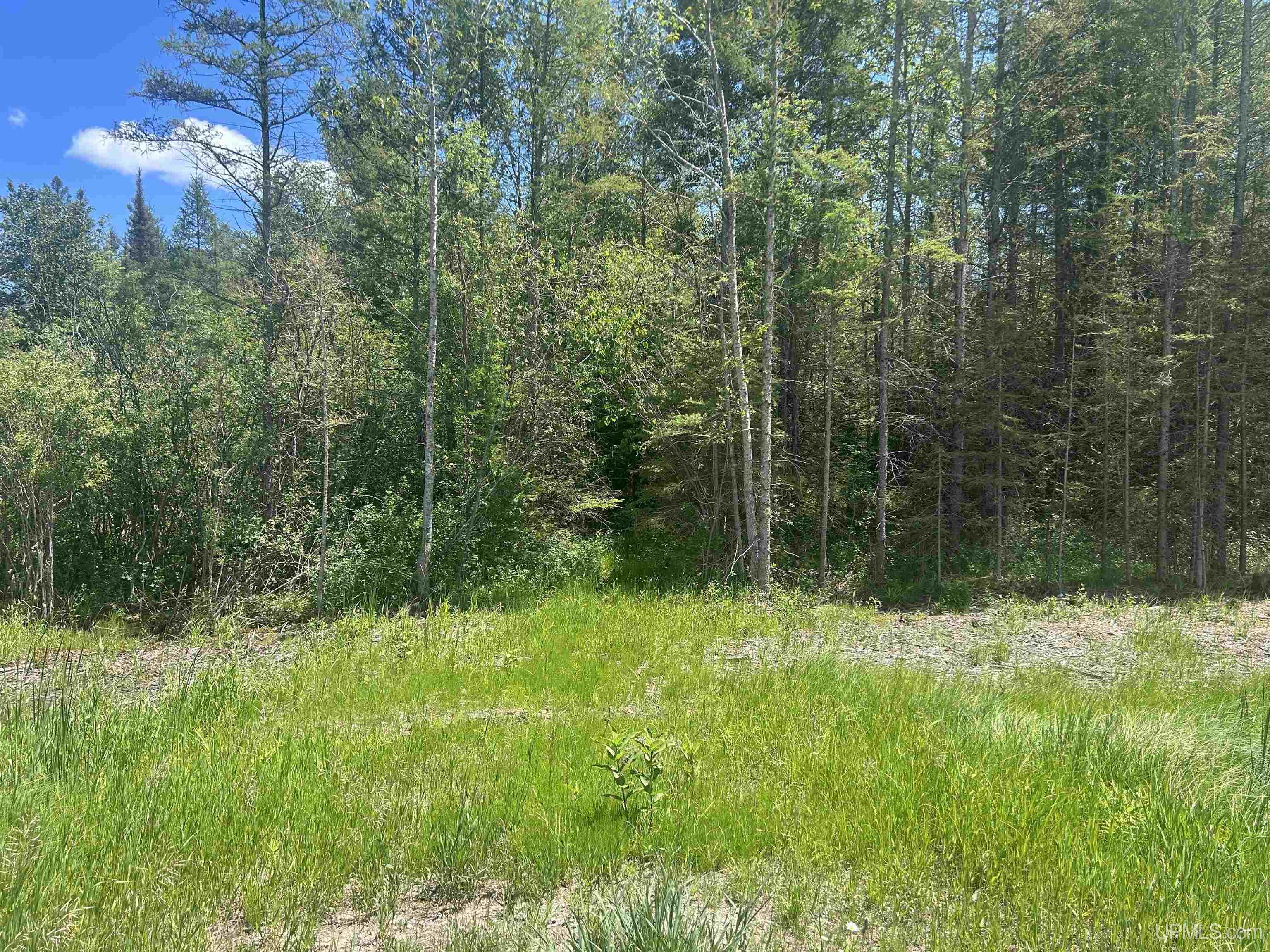 Tbd L Road Property Photo 1