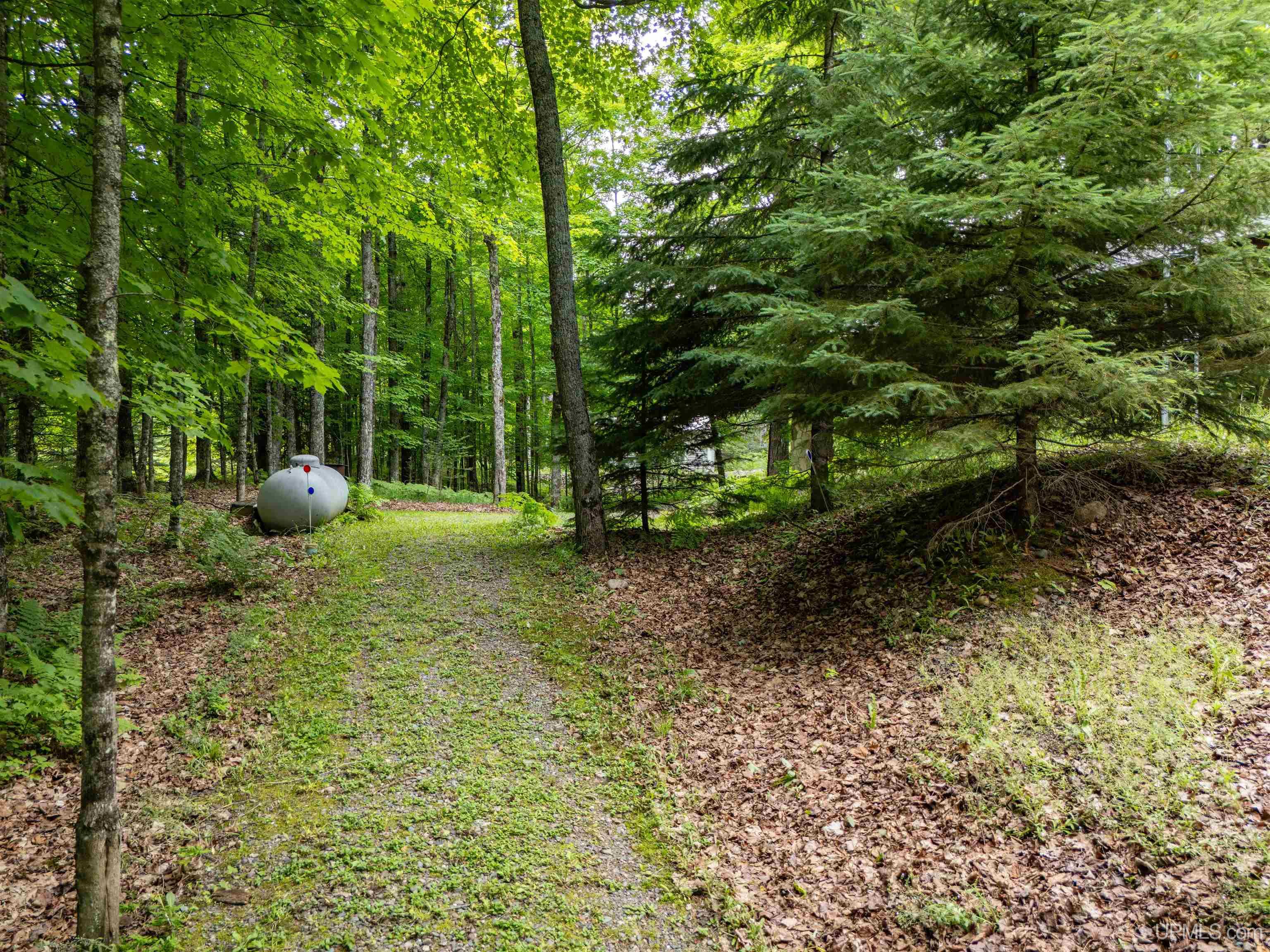 104 N Hagerman Lake Road Property Photo 46