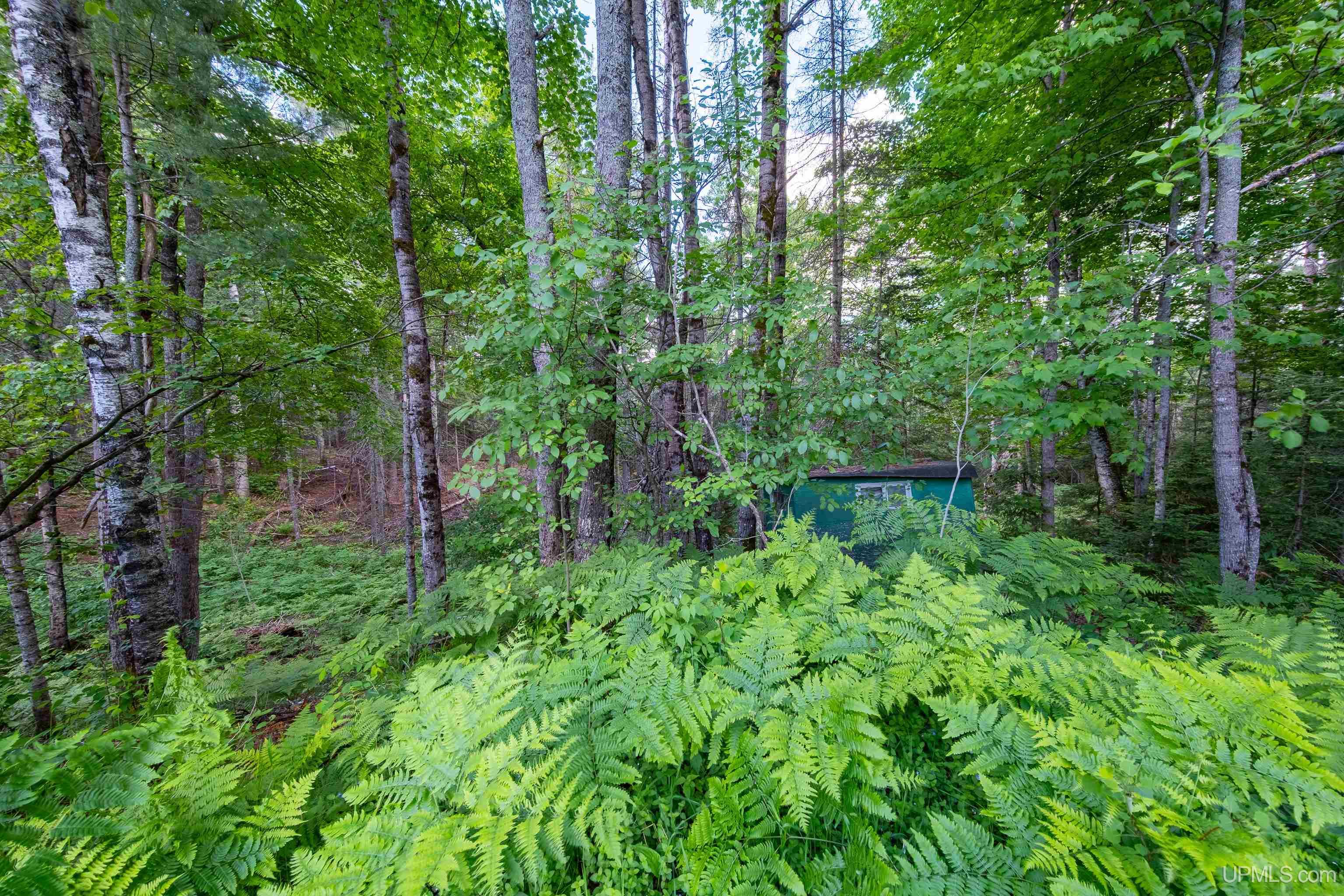 2813 Us 41 W Highway Property Photo 62