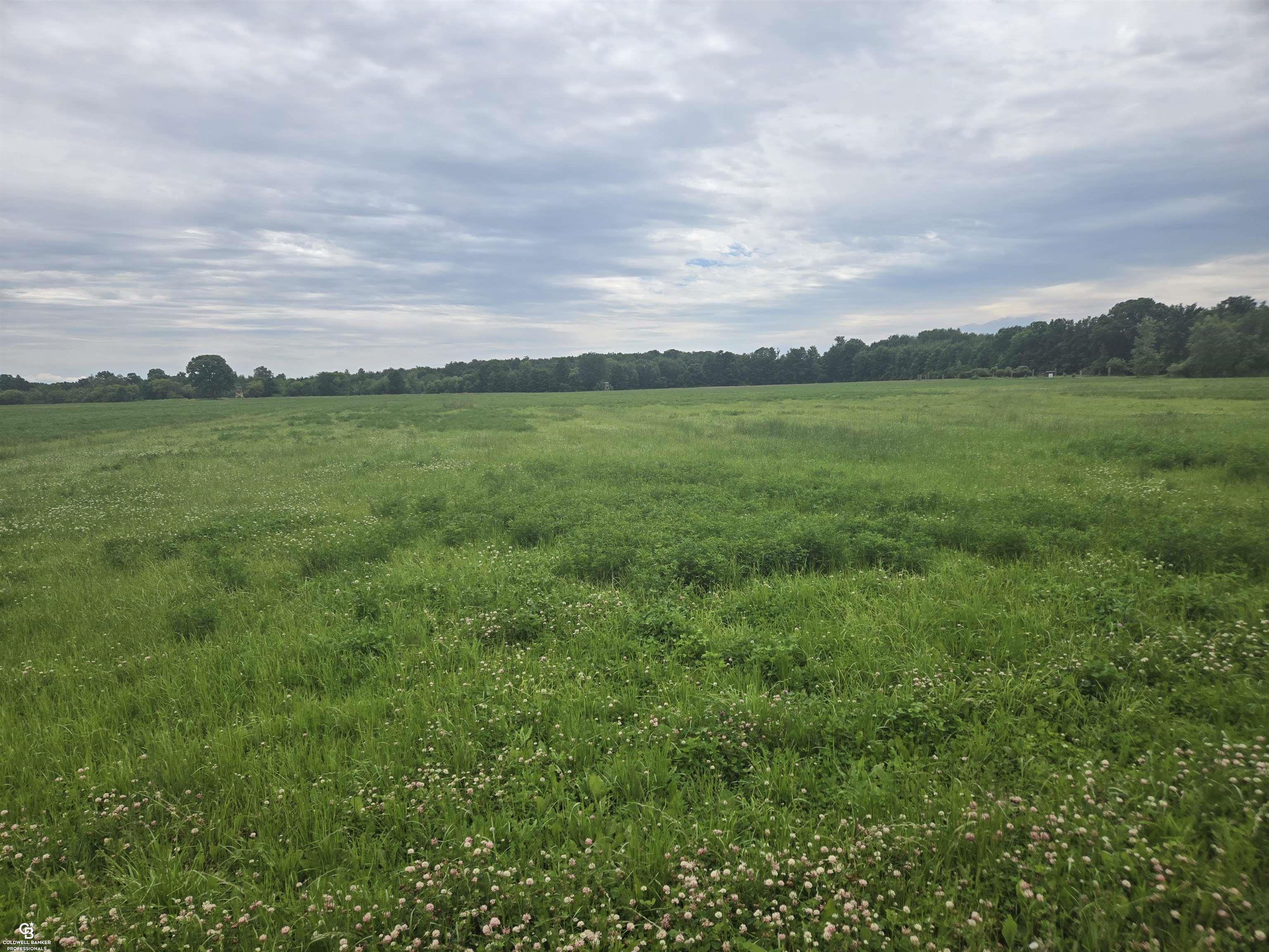 0 Imlay City Vl Road Property Photo 10