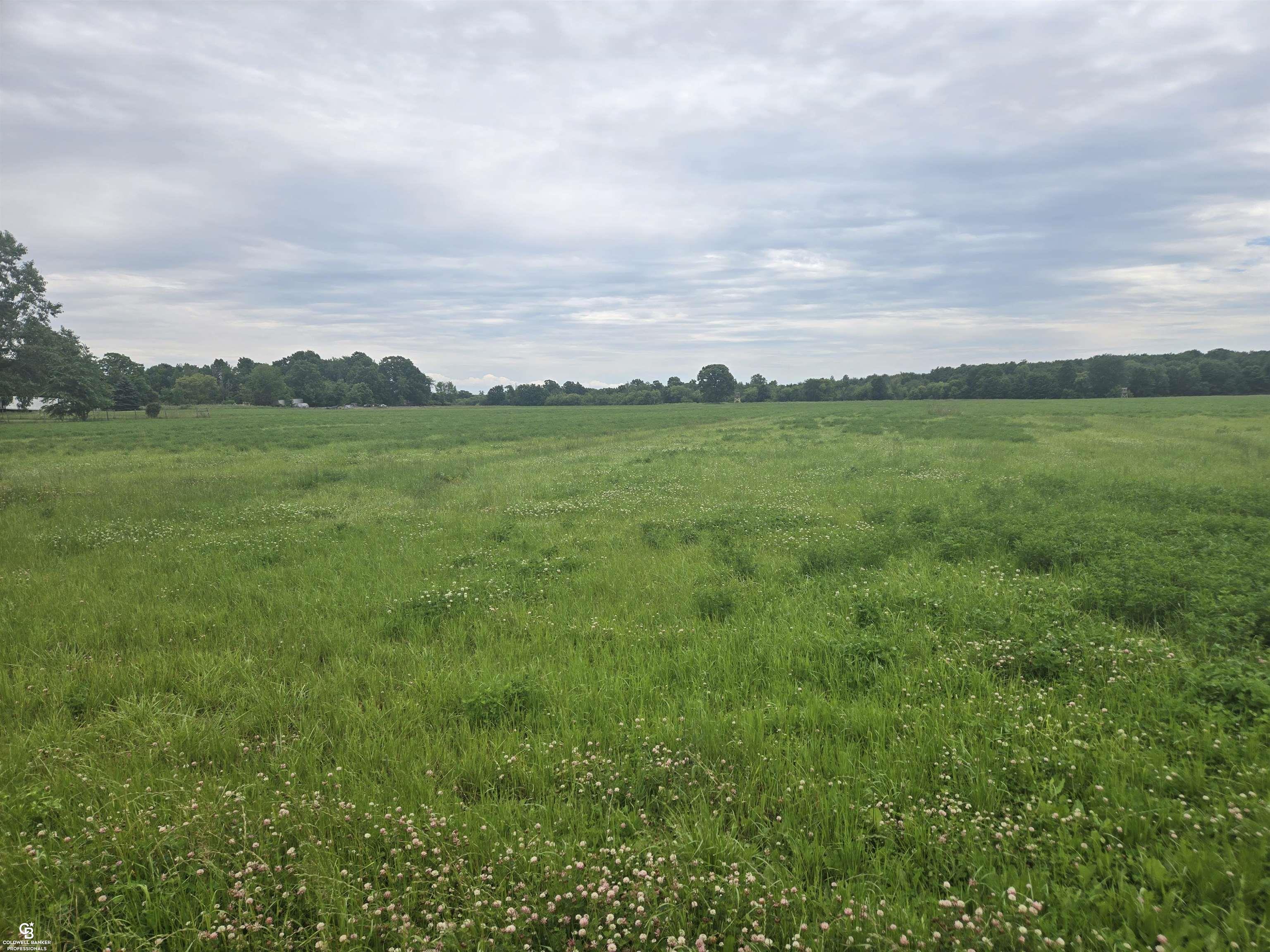0 Imlay City Vl Road Property Photo 11