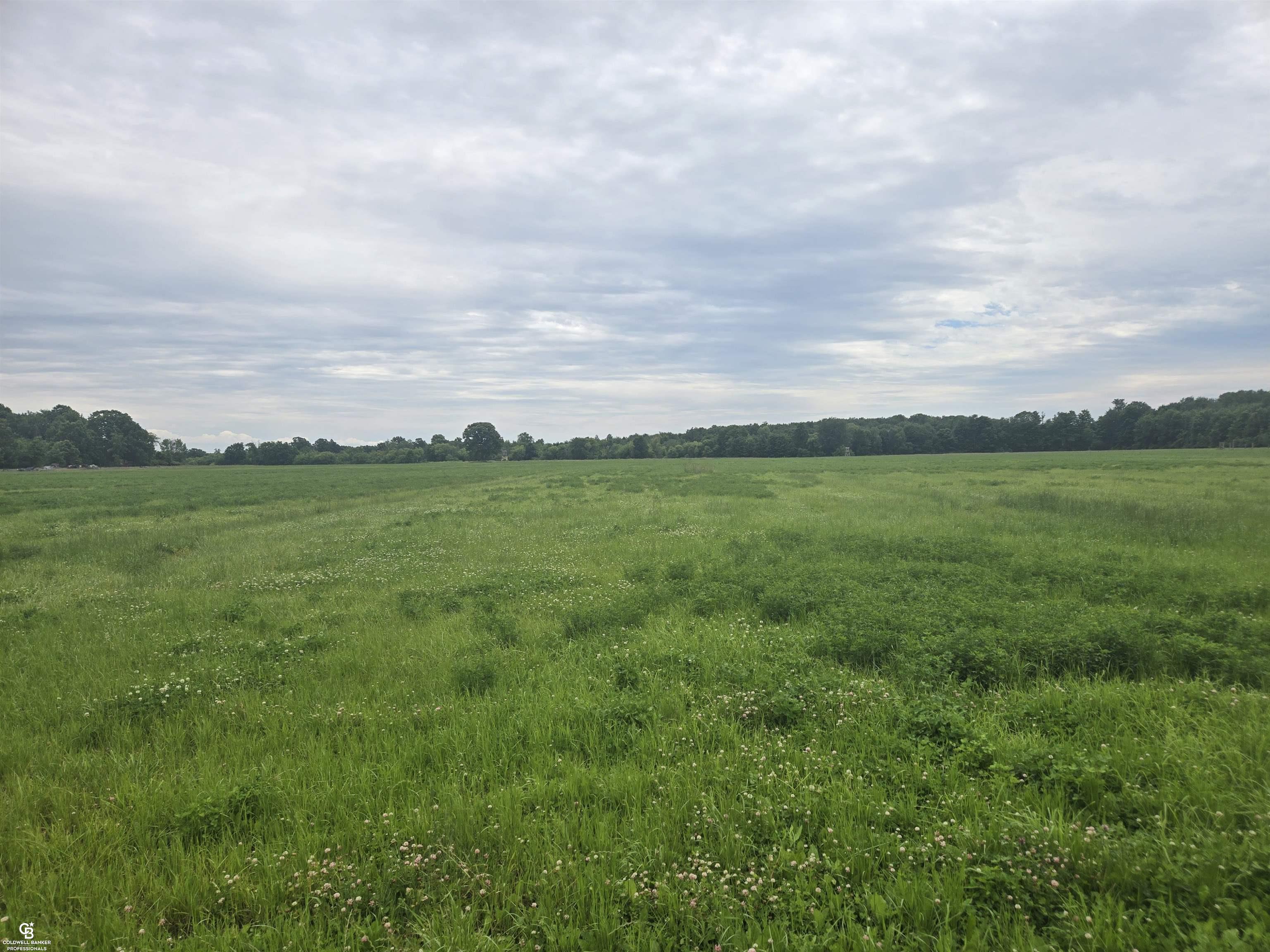0 Imlay City Vl Road Property Photo 12
