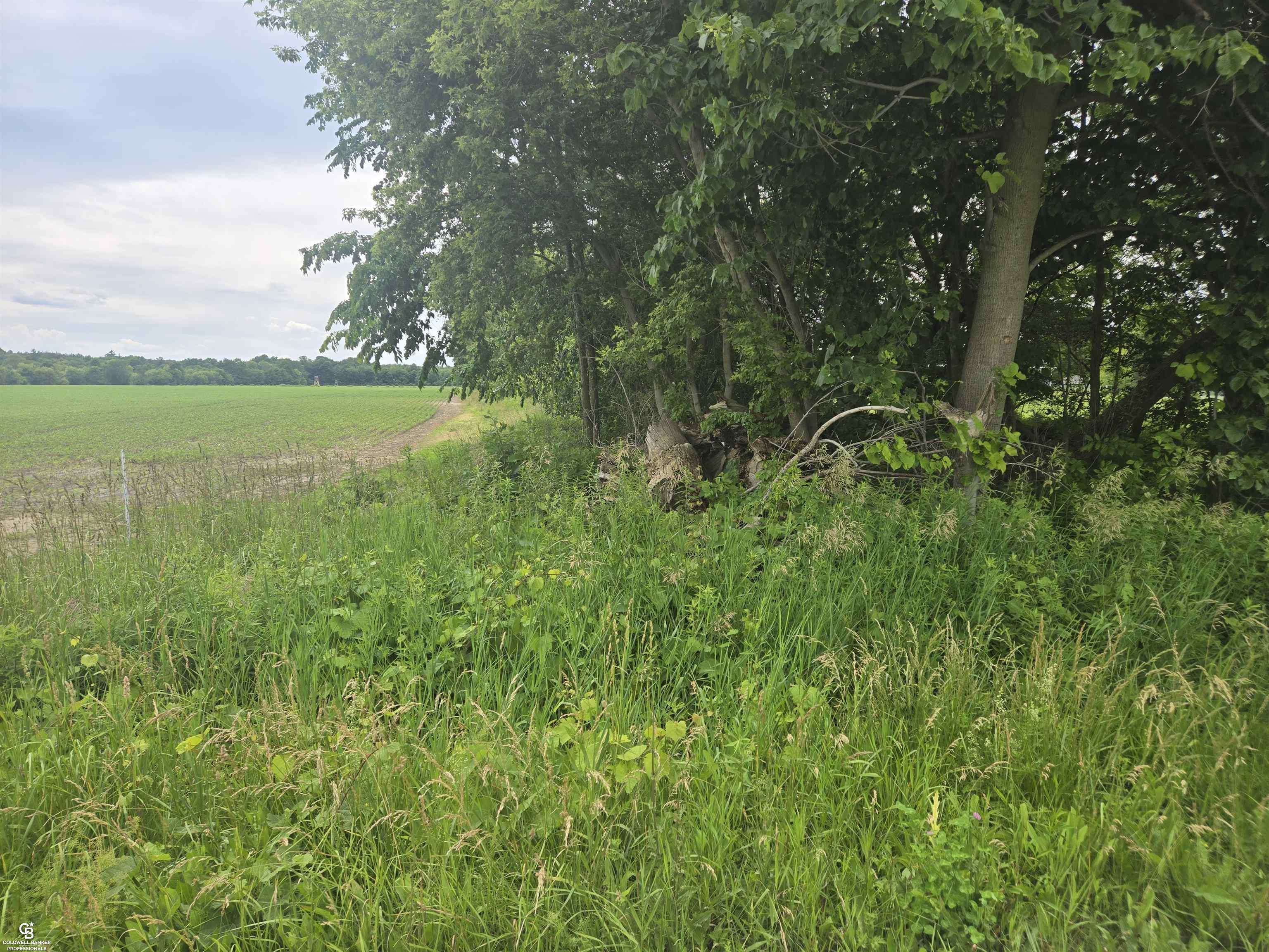 0 Imlay City Vl Road Property Photo 15