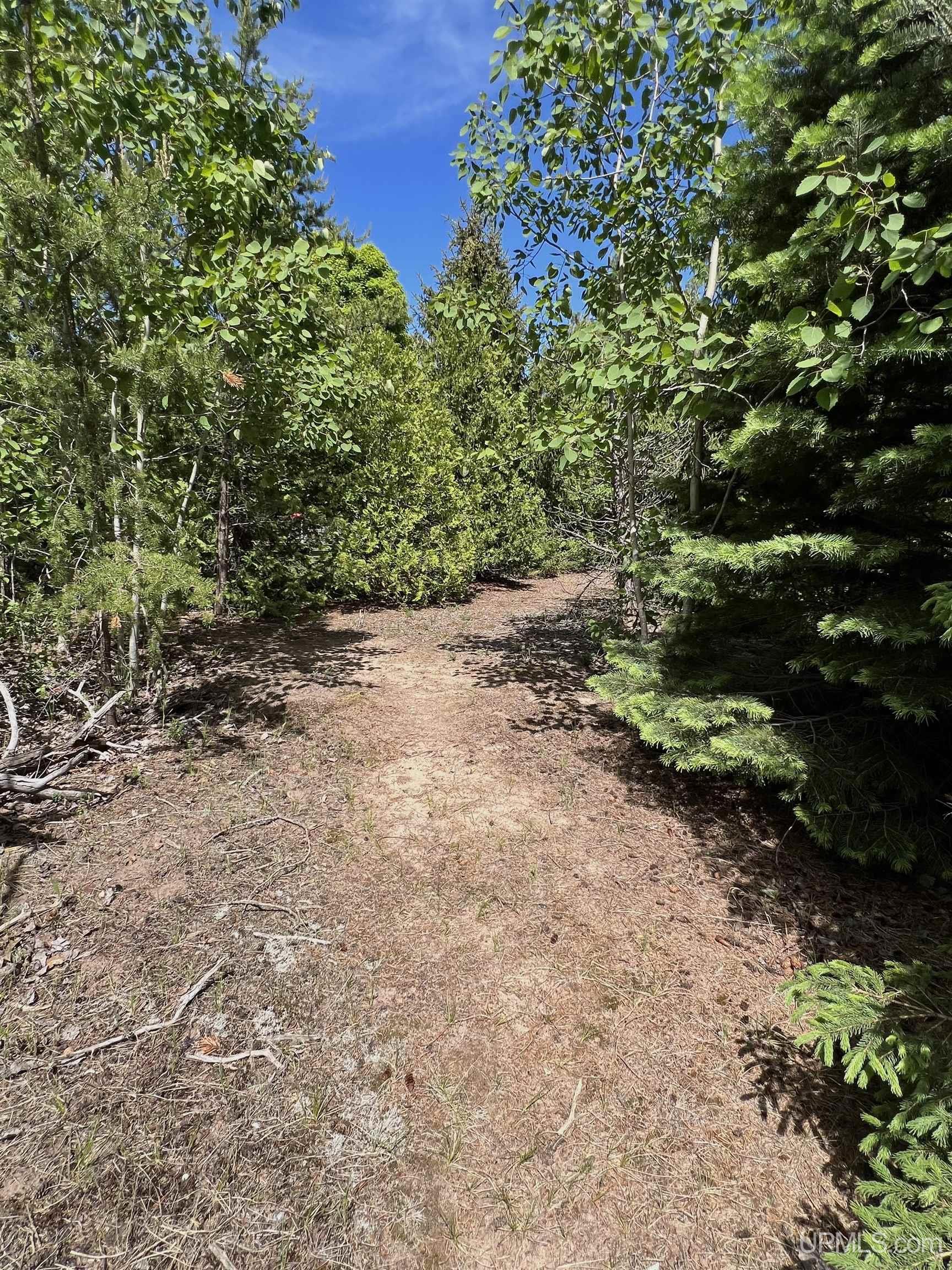 1289 E M28 Highway Property Photo 76
