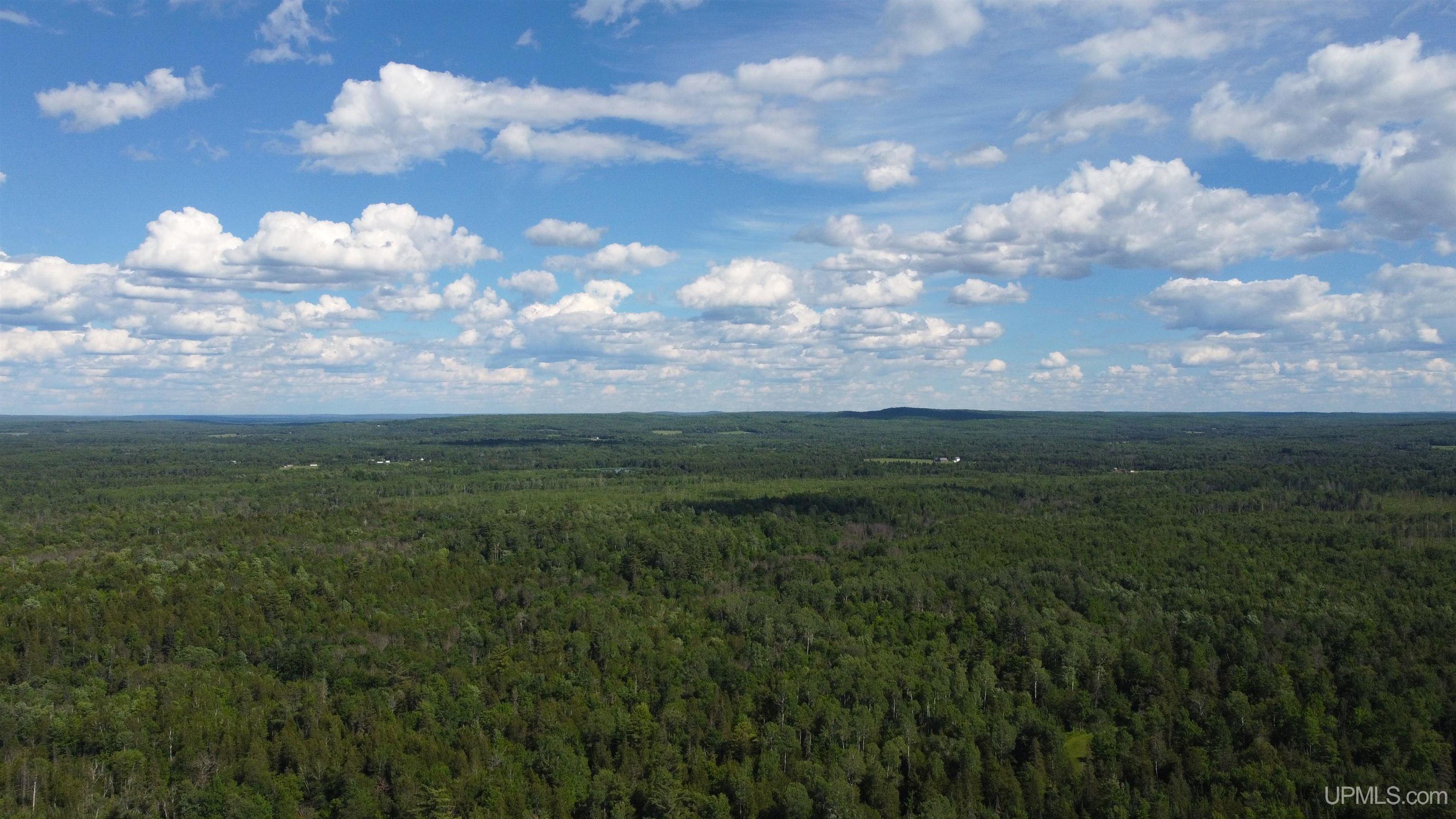 14504 Lepponen Road Property Photo 3