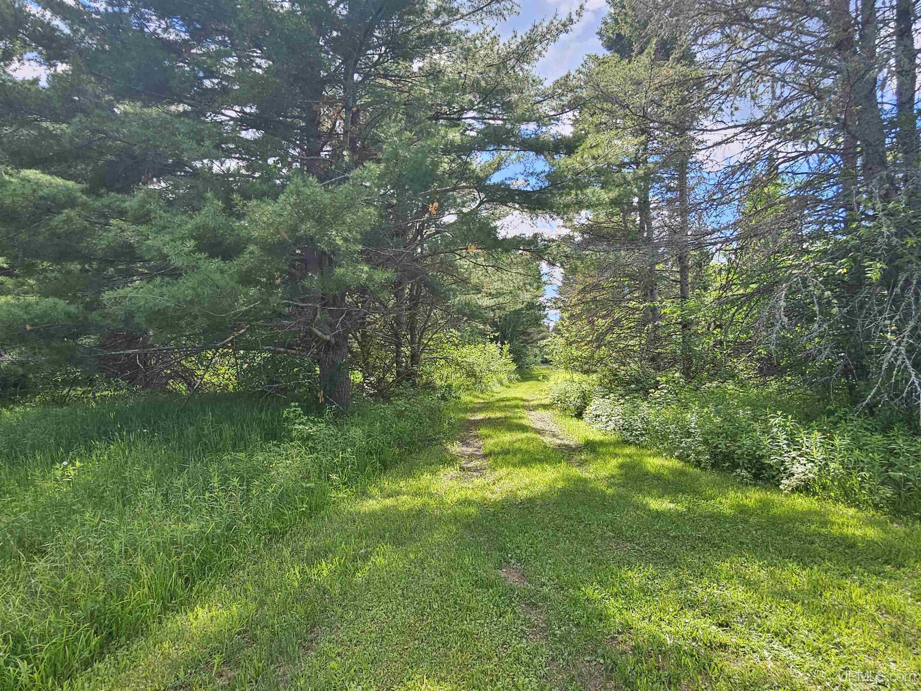 14504 Lepponen Road Property Photo 6