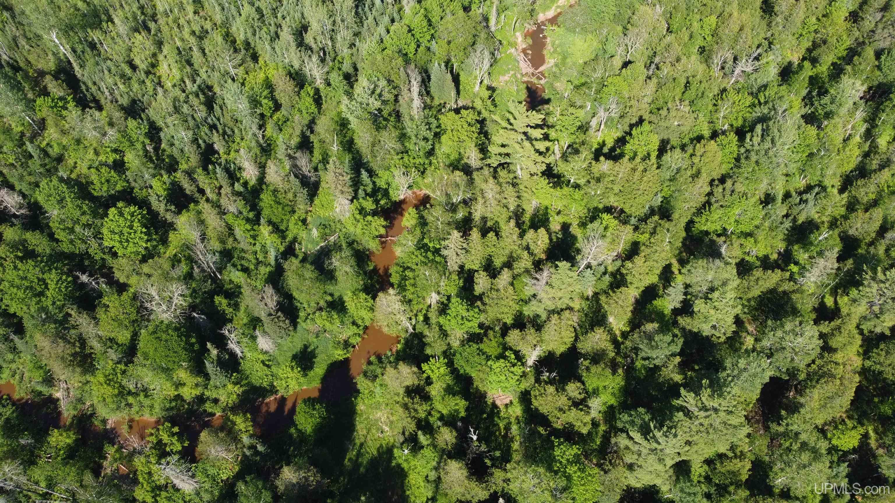 14504 Lepponen Road Property Photo 8