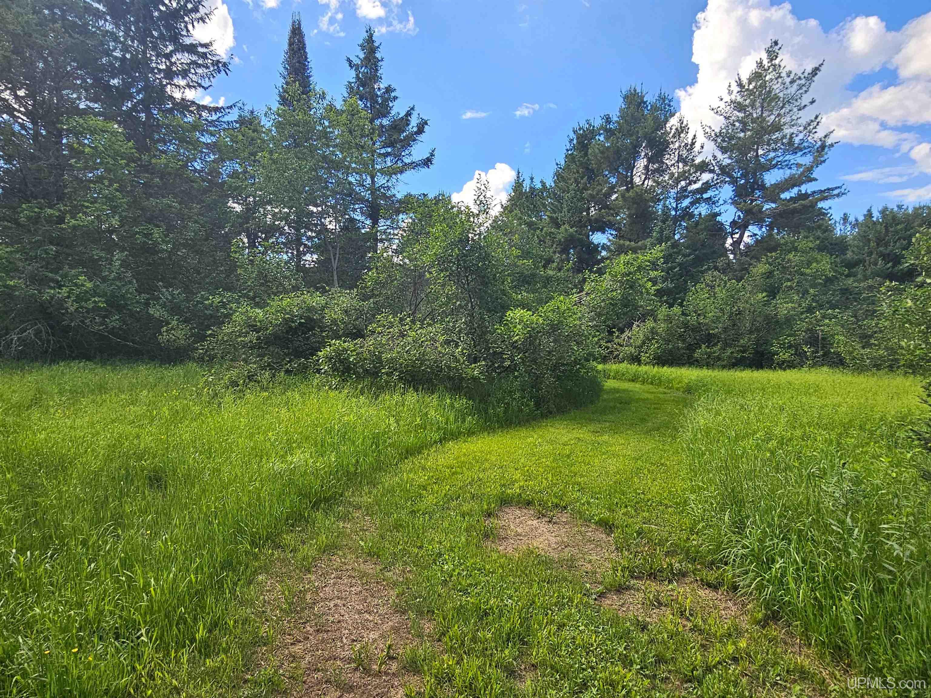 14504 Lepponen Road Property Photo 9