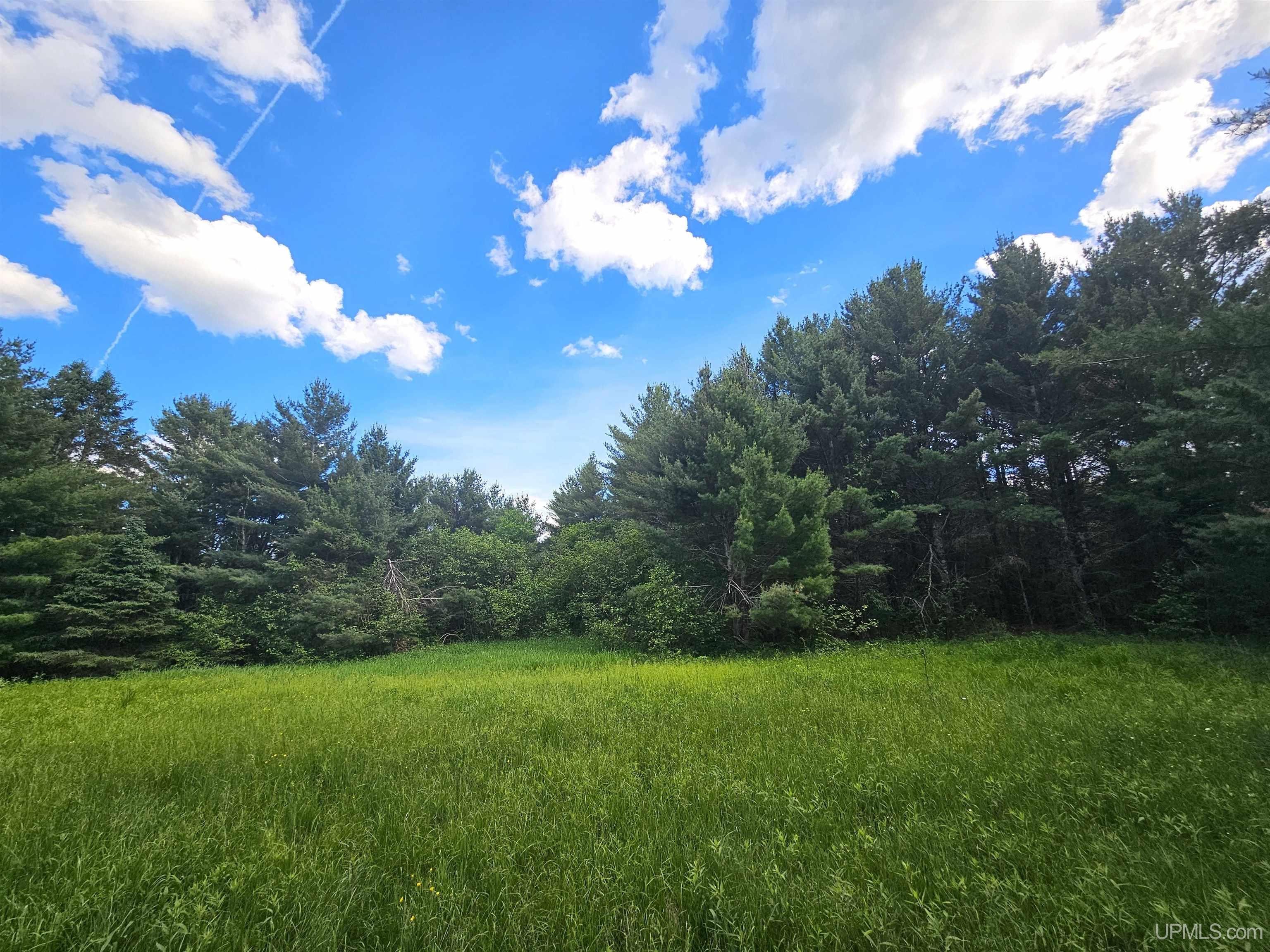 14504 Lepponen Road Property Photo 19