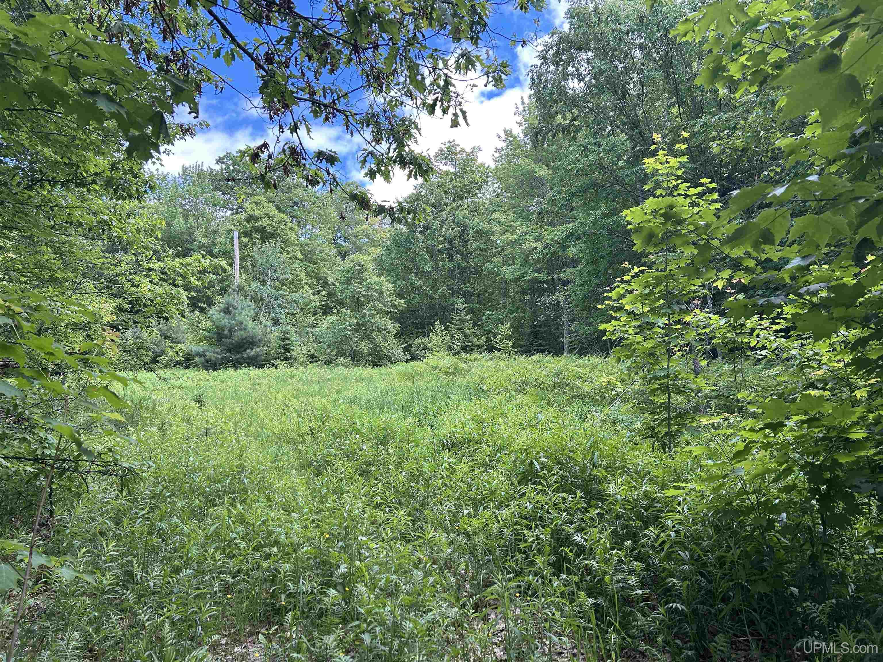 391 N Carlshend Road Property Photo 1