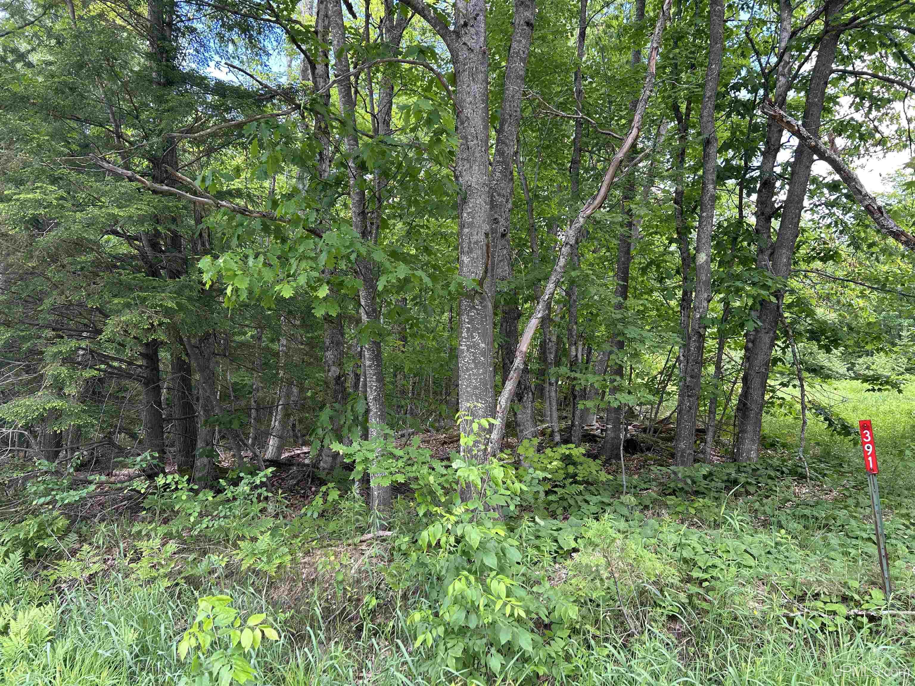 391 N Carlshend Road Property Photo 2
