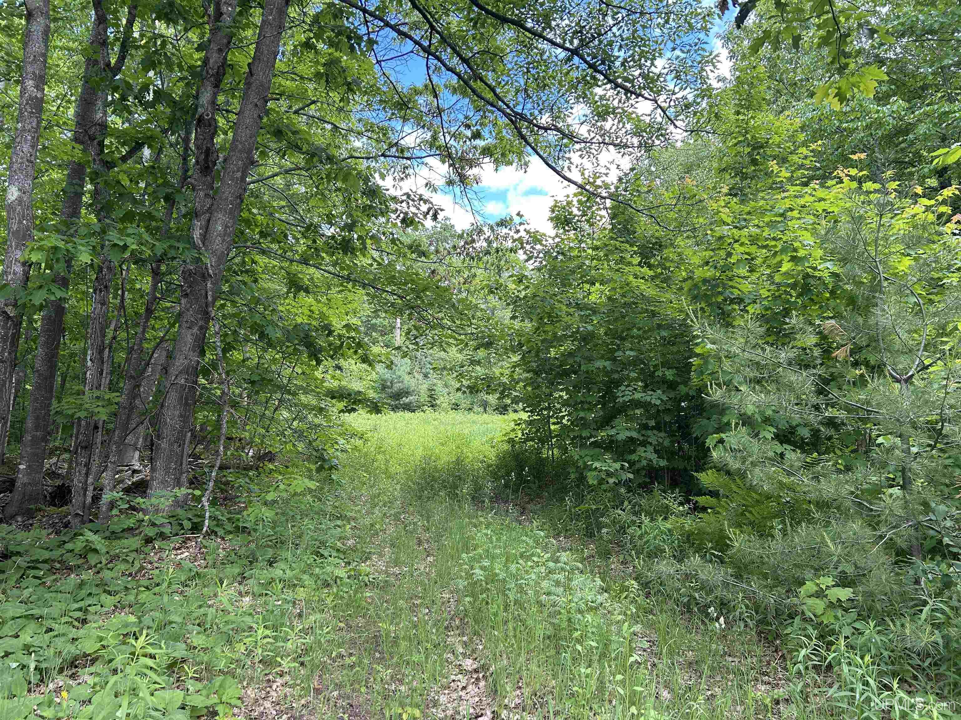 391 N Carlshend Road Property Photo 4