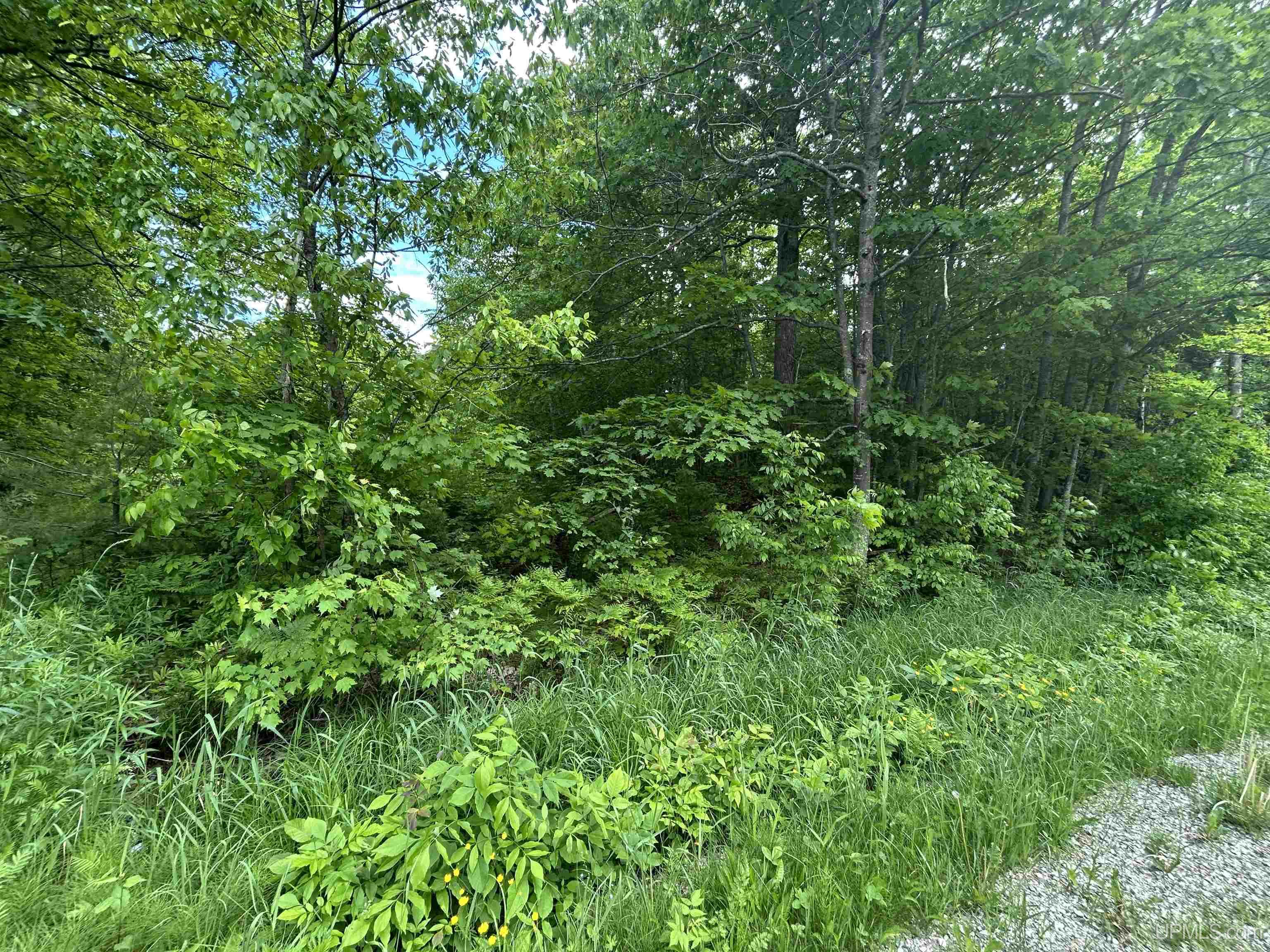 391 N Carlshend Road Property Photo 5
