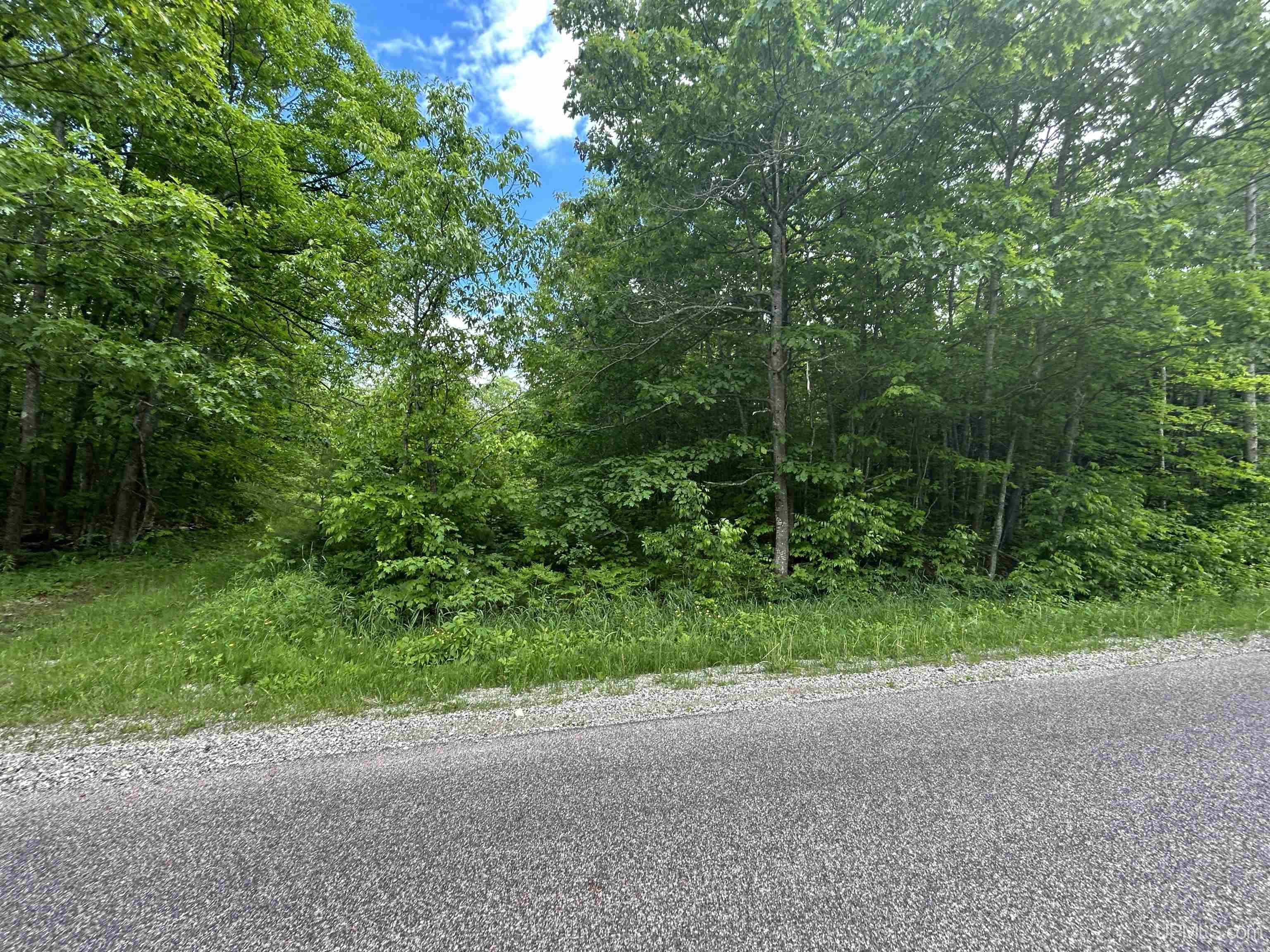 391 N Carlshend Road Property Photo 6