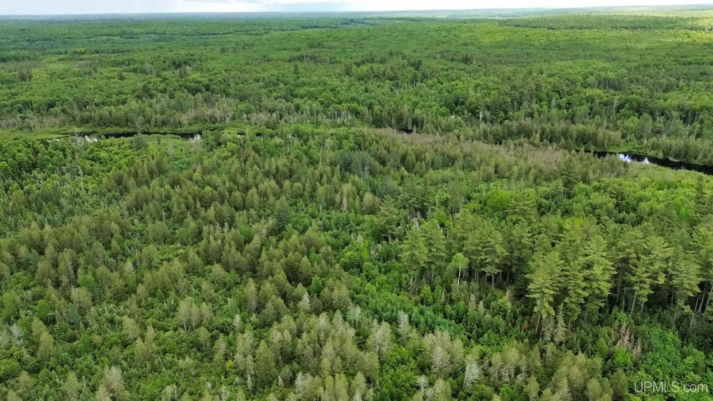 40 Acres Off Wide Waters Road Property Photo 1