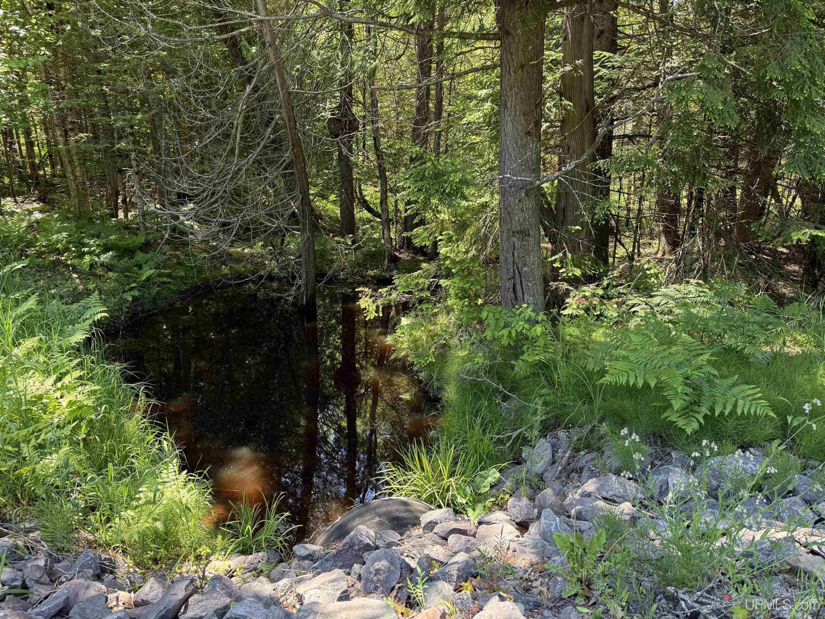 Tbd13 Upper Point Mills Road Property Photo 3