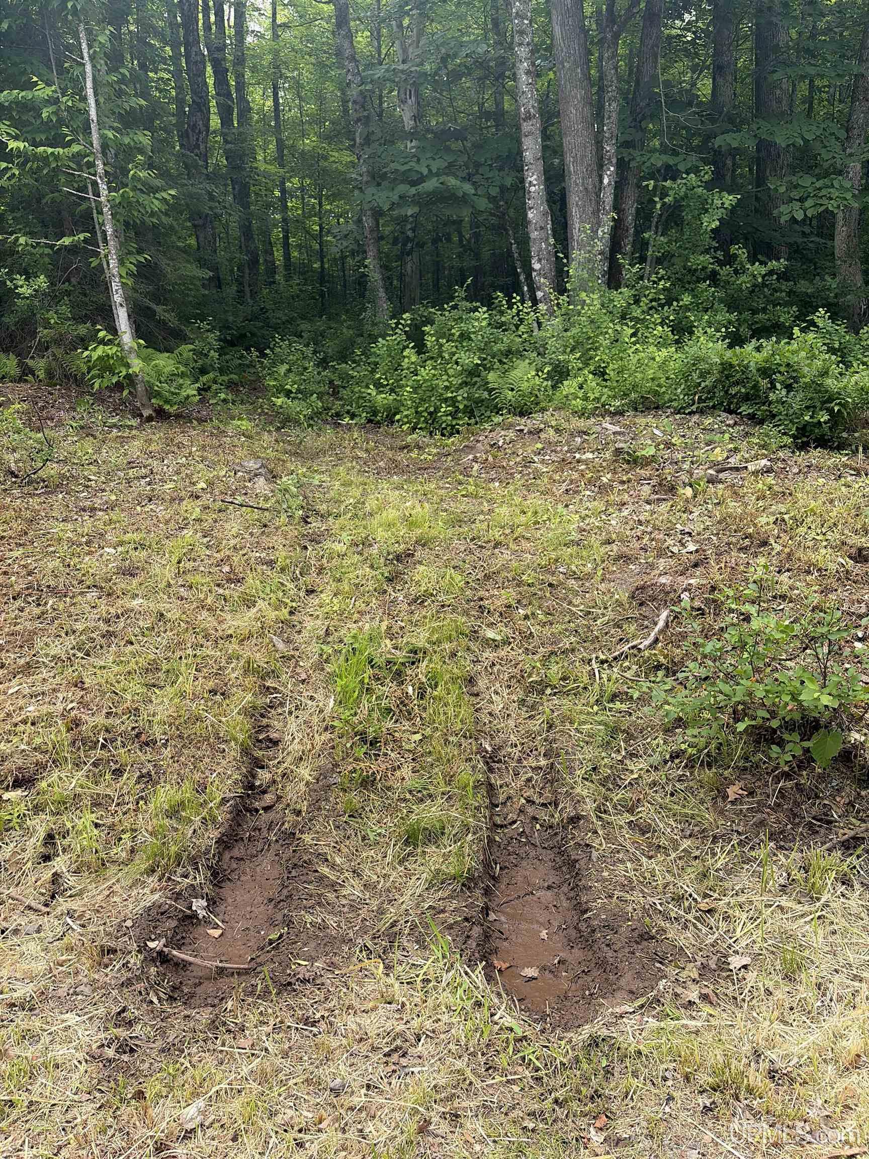Tbd Old Us2 Road Property Photo 1