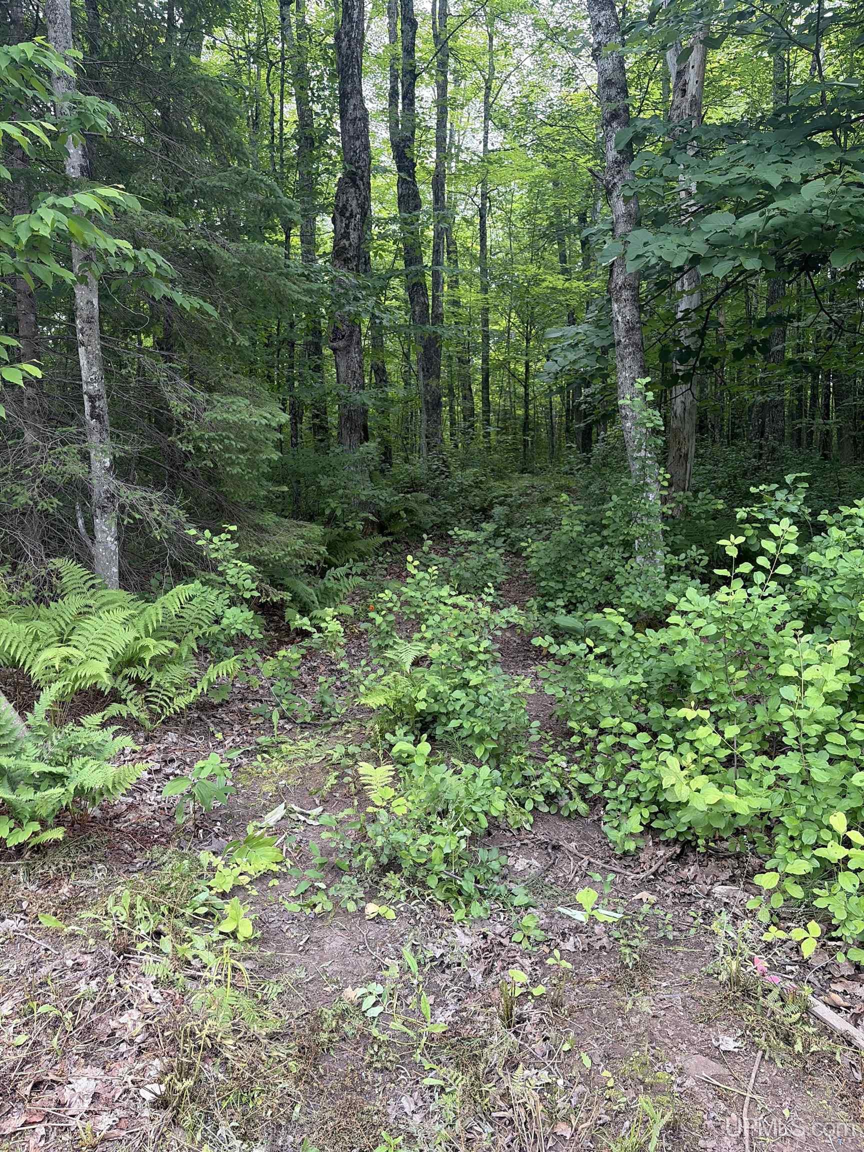 Tbd Old Us2 Road Property Photo 2