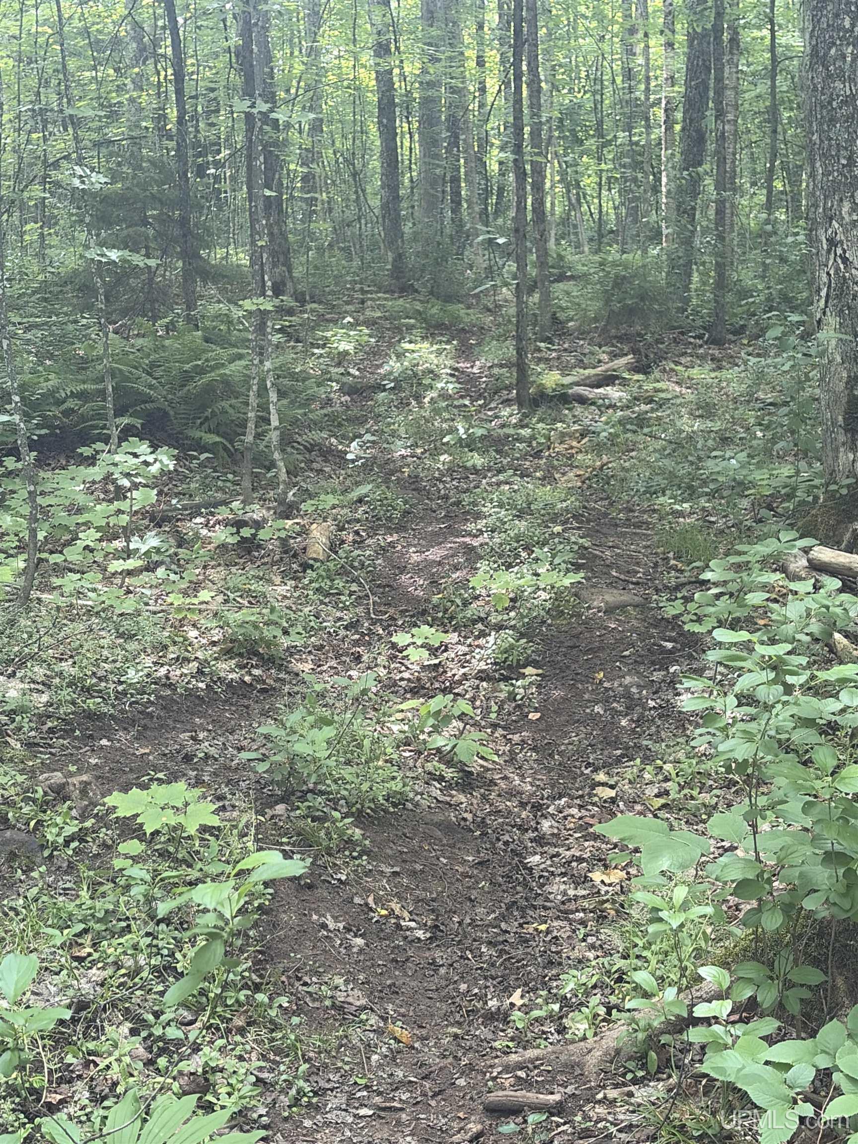 Tbd Old Us2 Road Property Photo 3