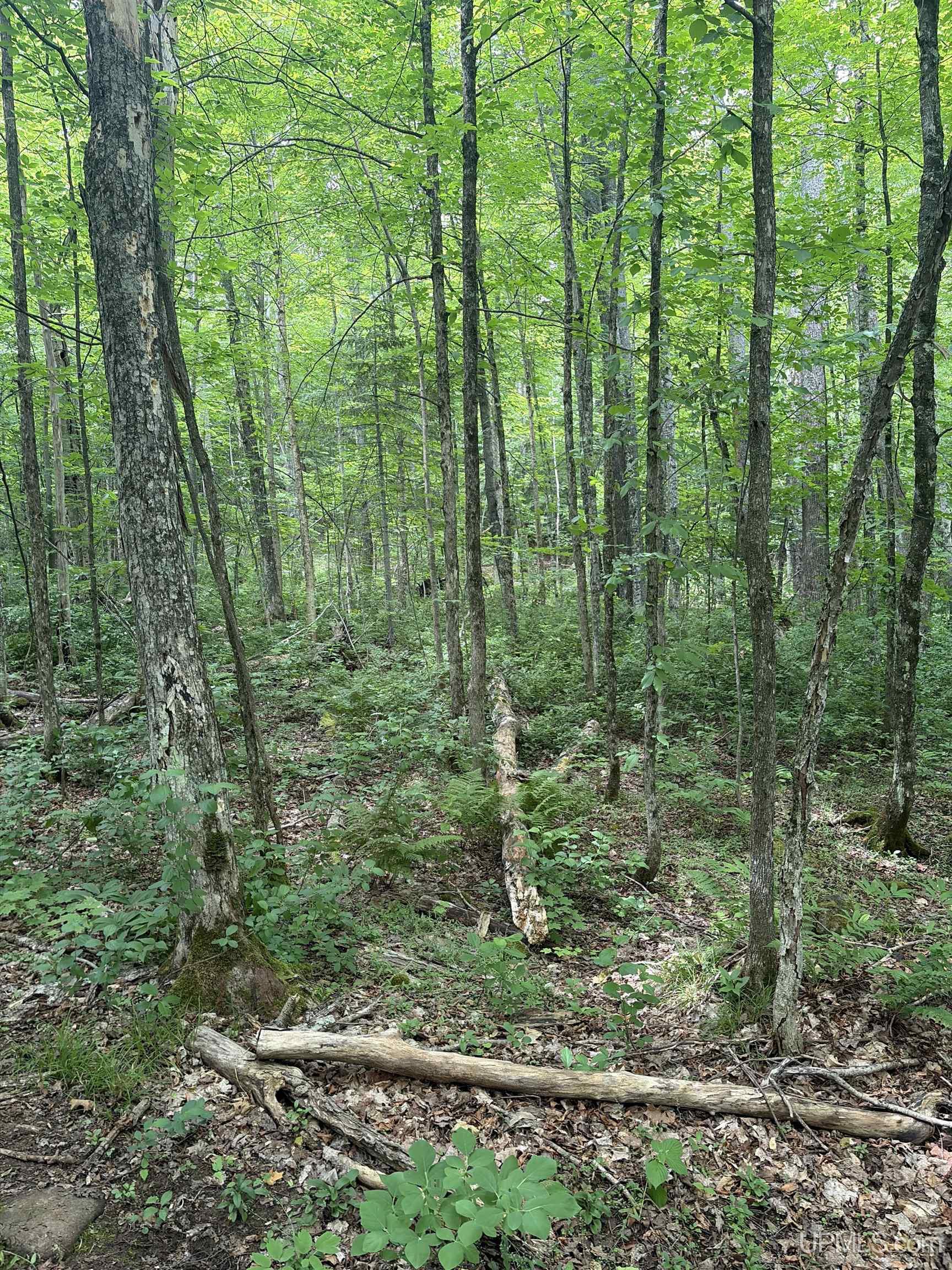 Tbd Old Us2 Road Property Photo 4