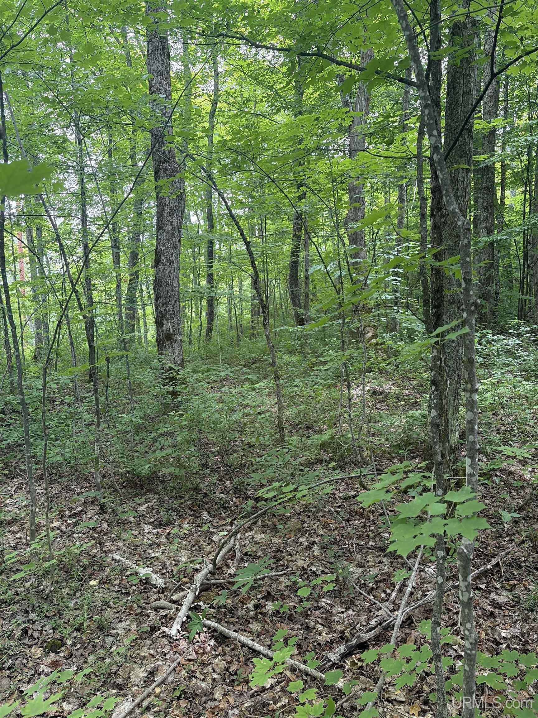 Tbd Old Us2 Road Property Photo 5