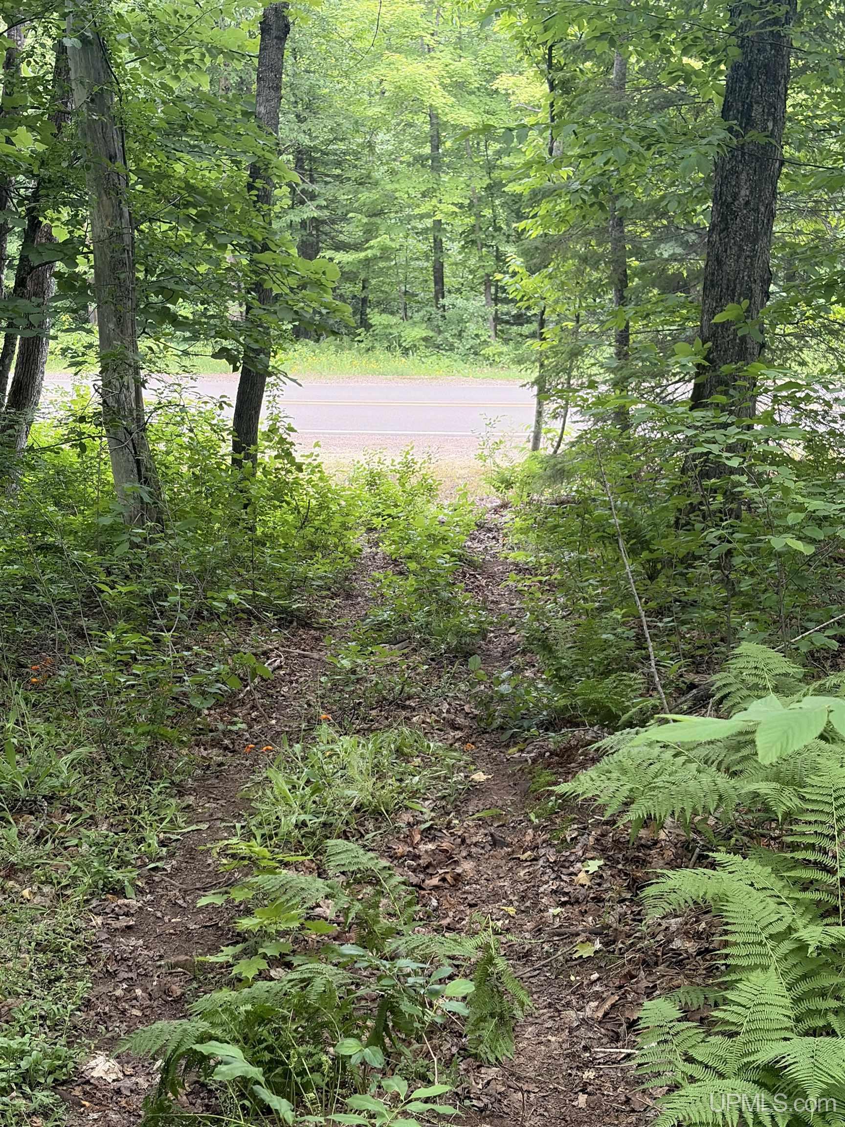 Tbd Old Us2 Road Property Photo 6