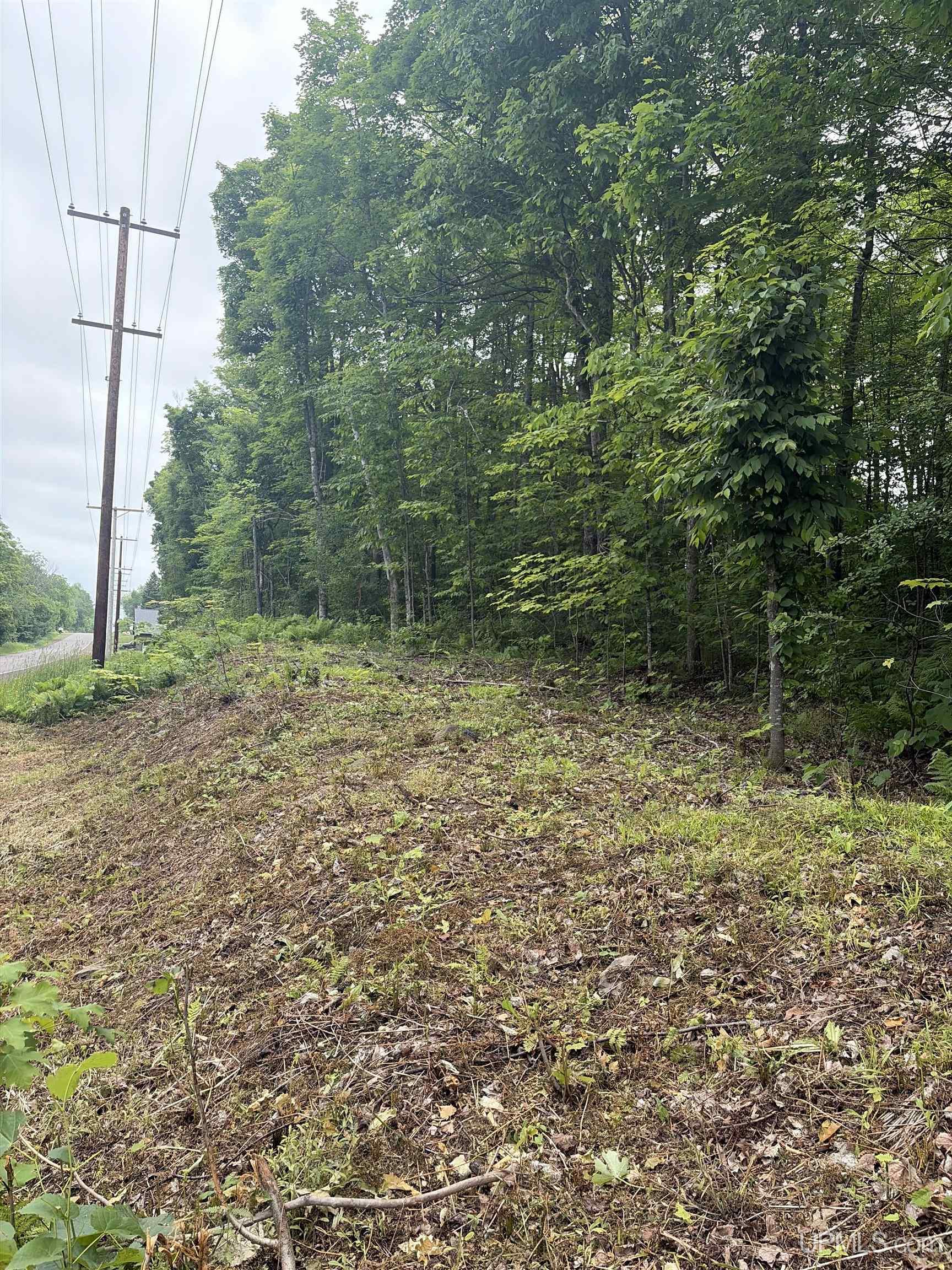 Tbd Old Us2 Road Property Photo 7
