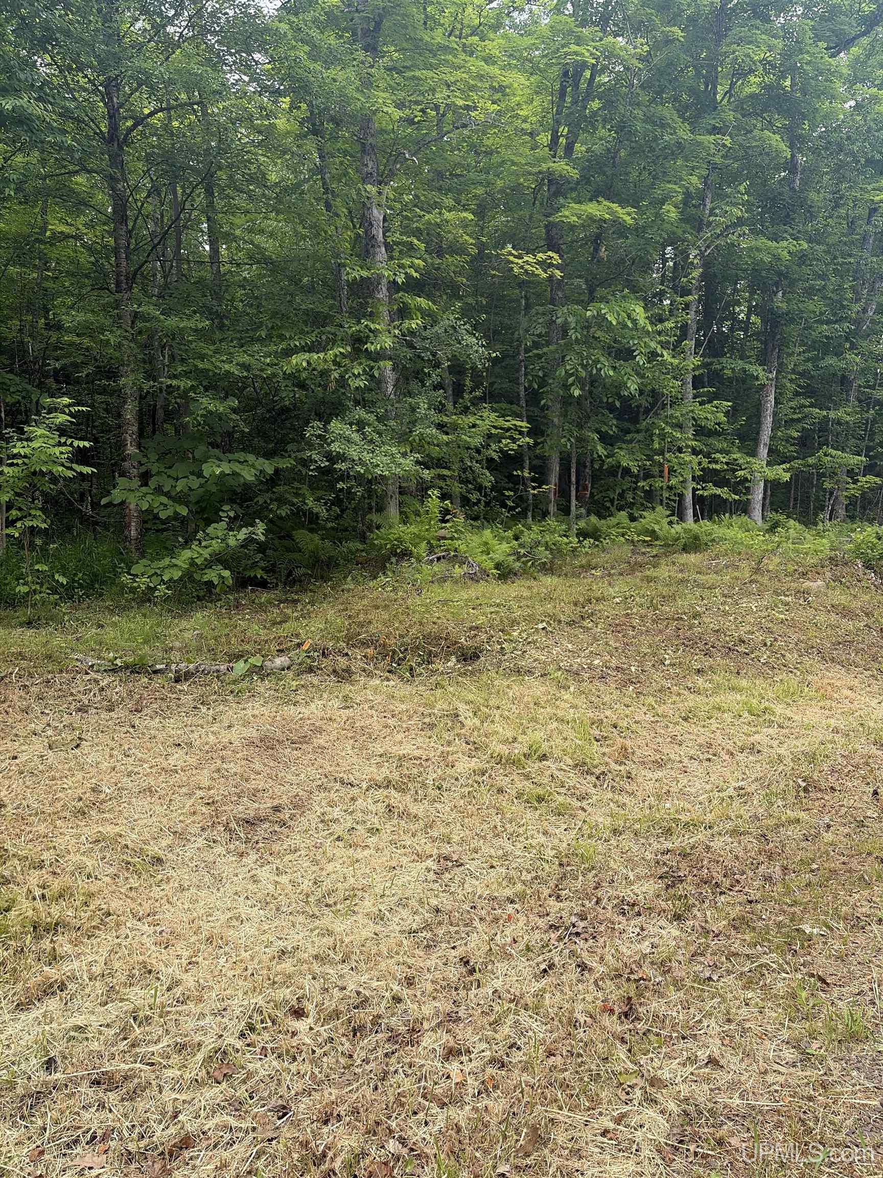 Tbd Old Us2 Road Property Photo 8