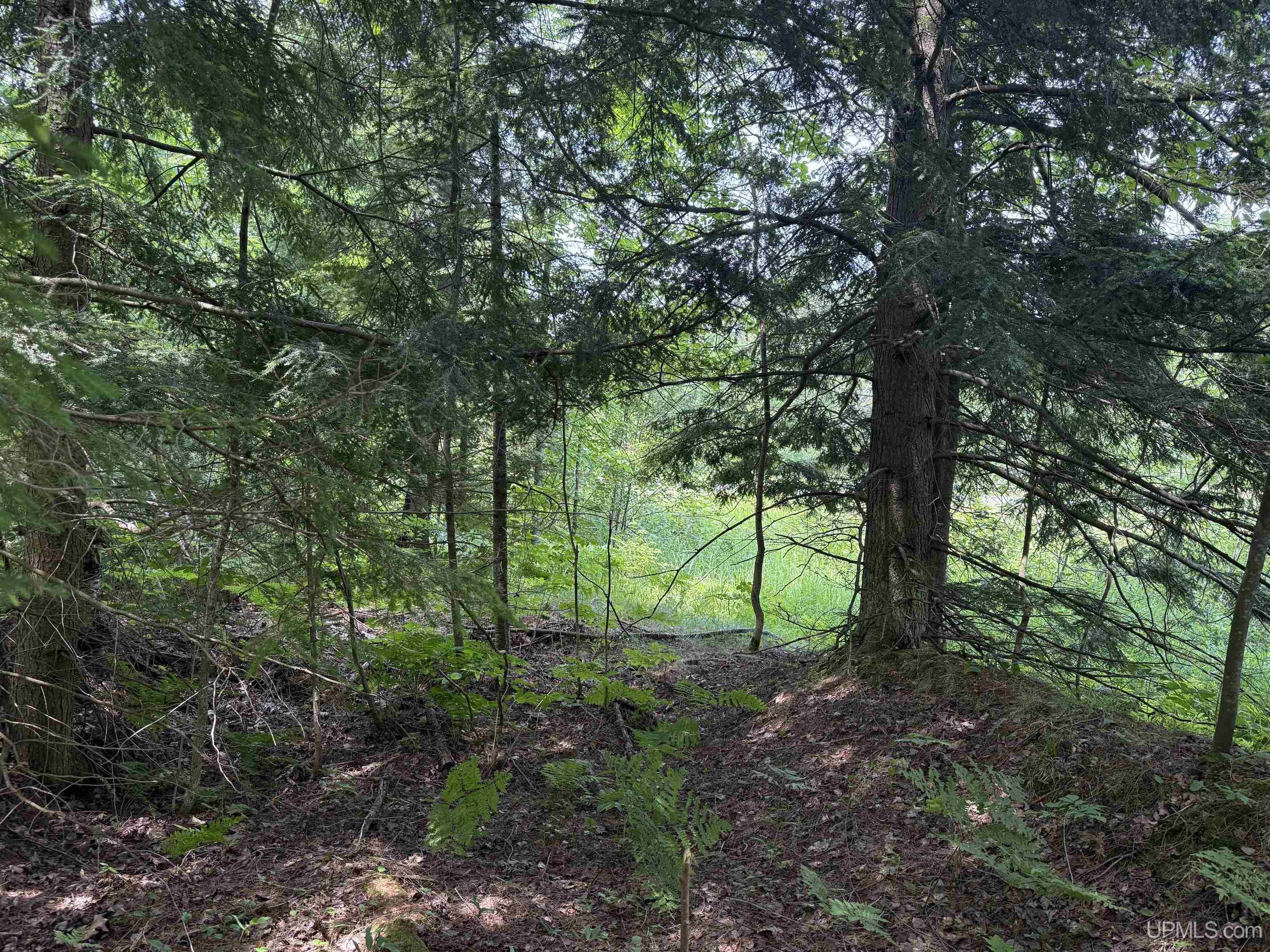 Tbd42 Skanee Road Property Photo 7