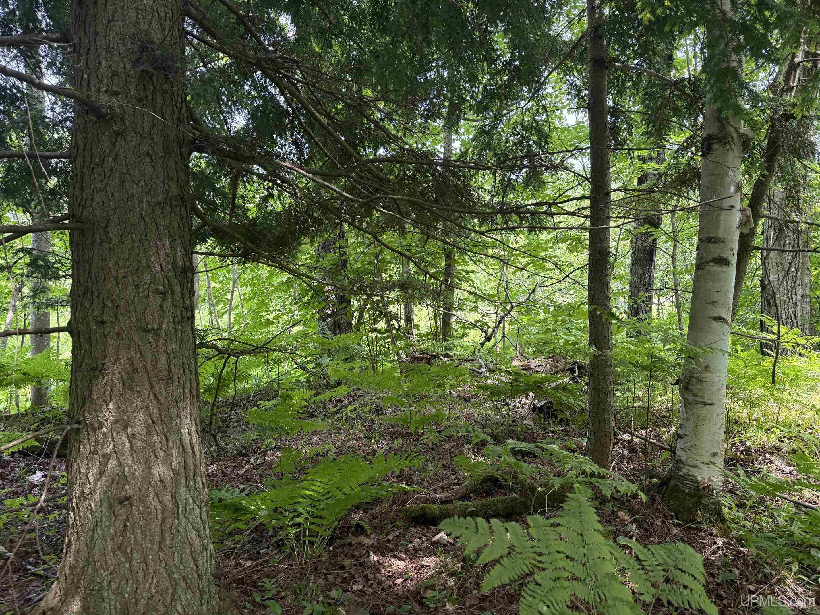 Tbd42 Skanee Road Property Photo 8