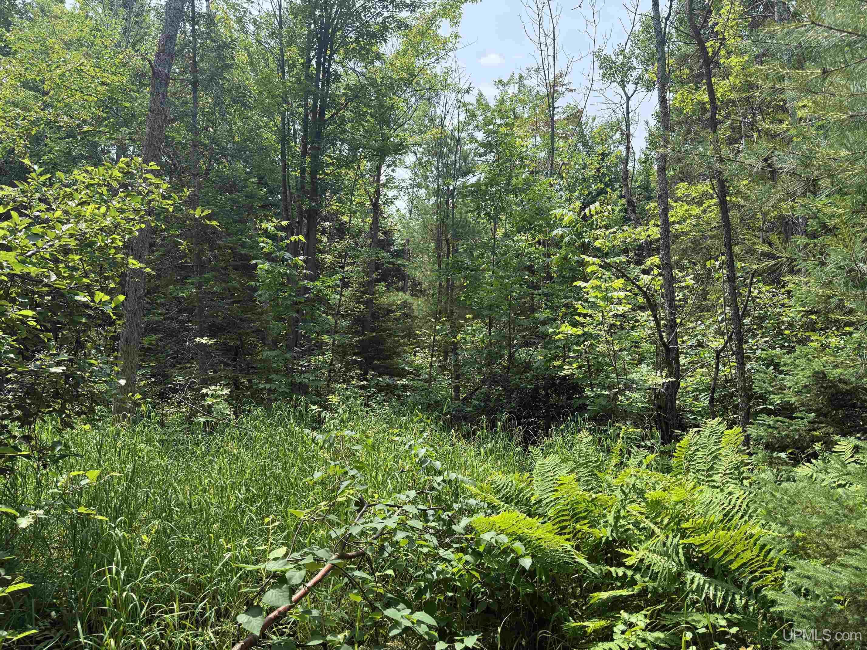 Tbd42 Skanee Road Property Photo 11