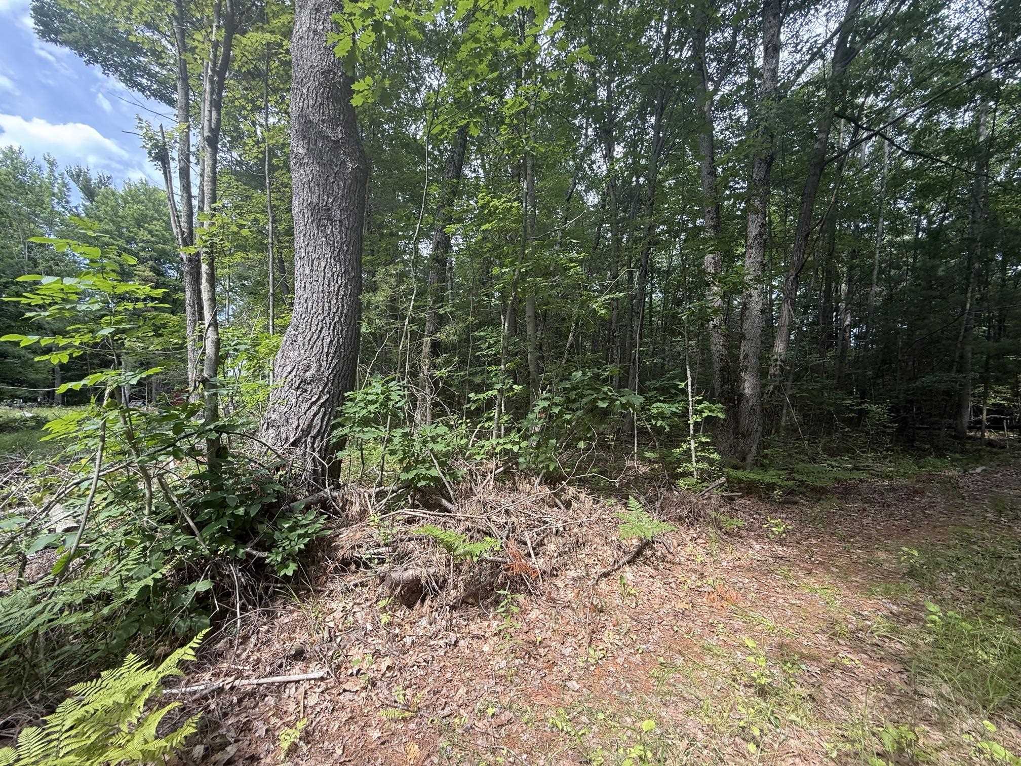 Vl N M-30 Highway Property Photo 2