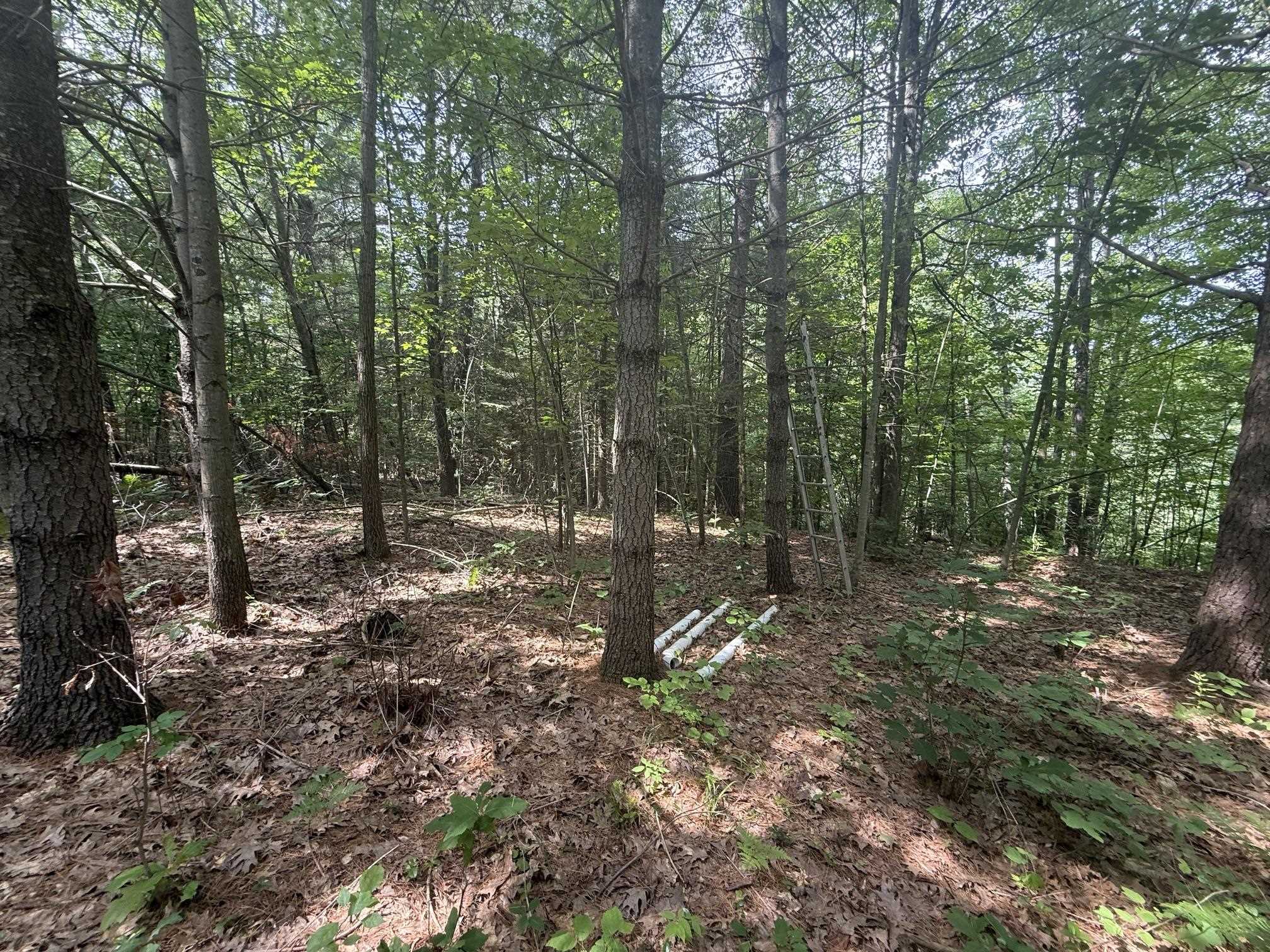 Vl N M-30 Highway Property Photo 7