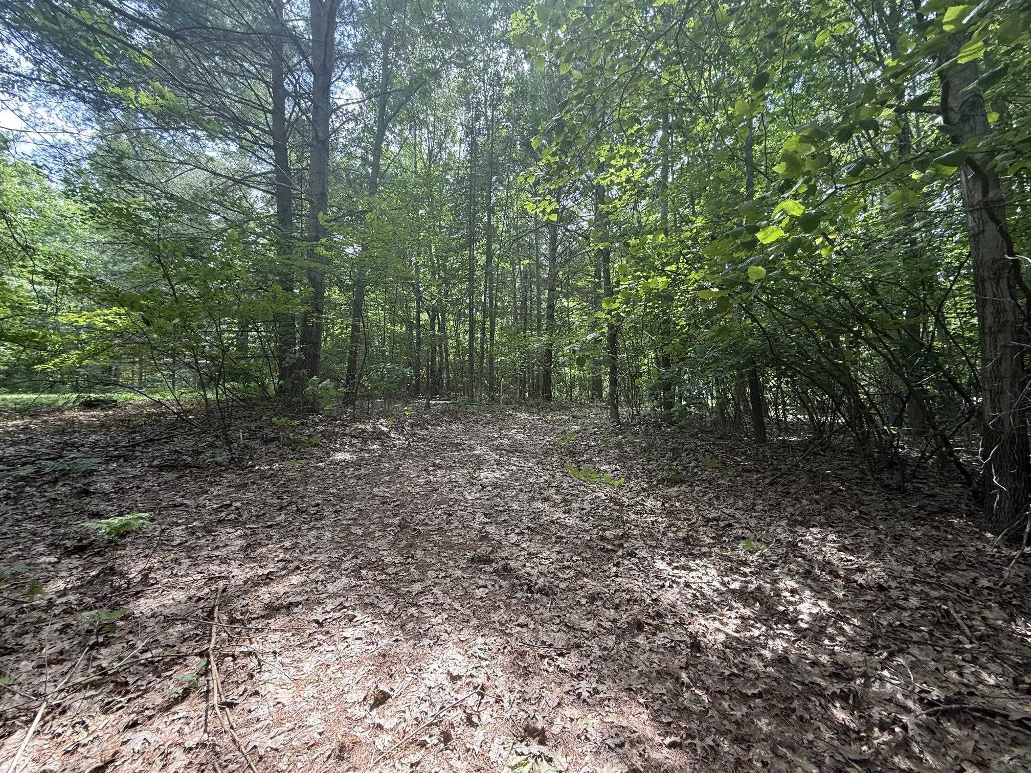 Vl N M-30 Highway Property Photo 10